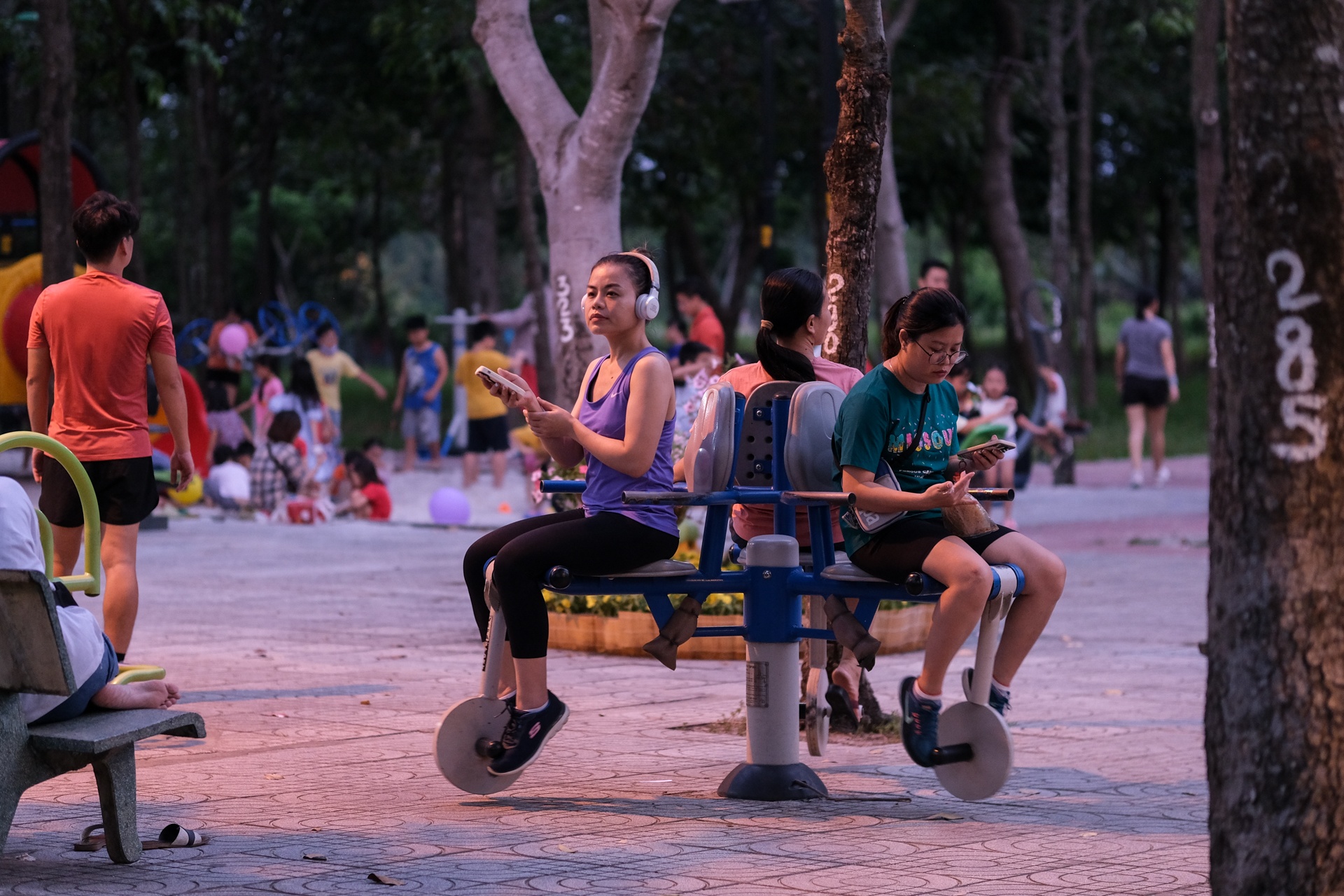 Cong vien Go Vap anh 9