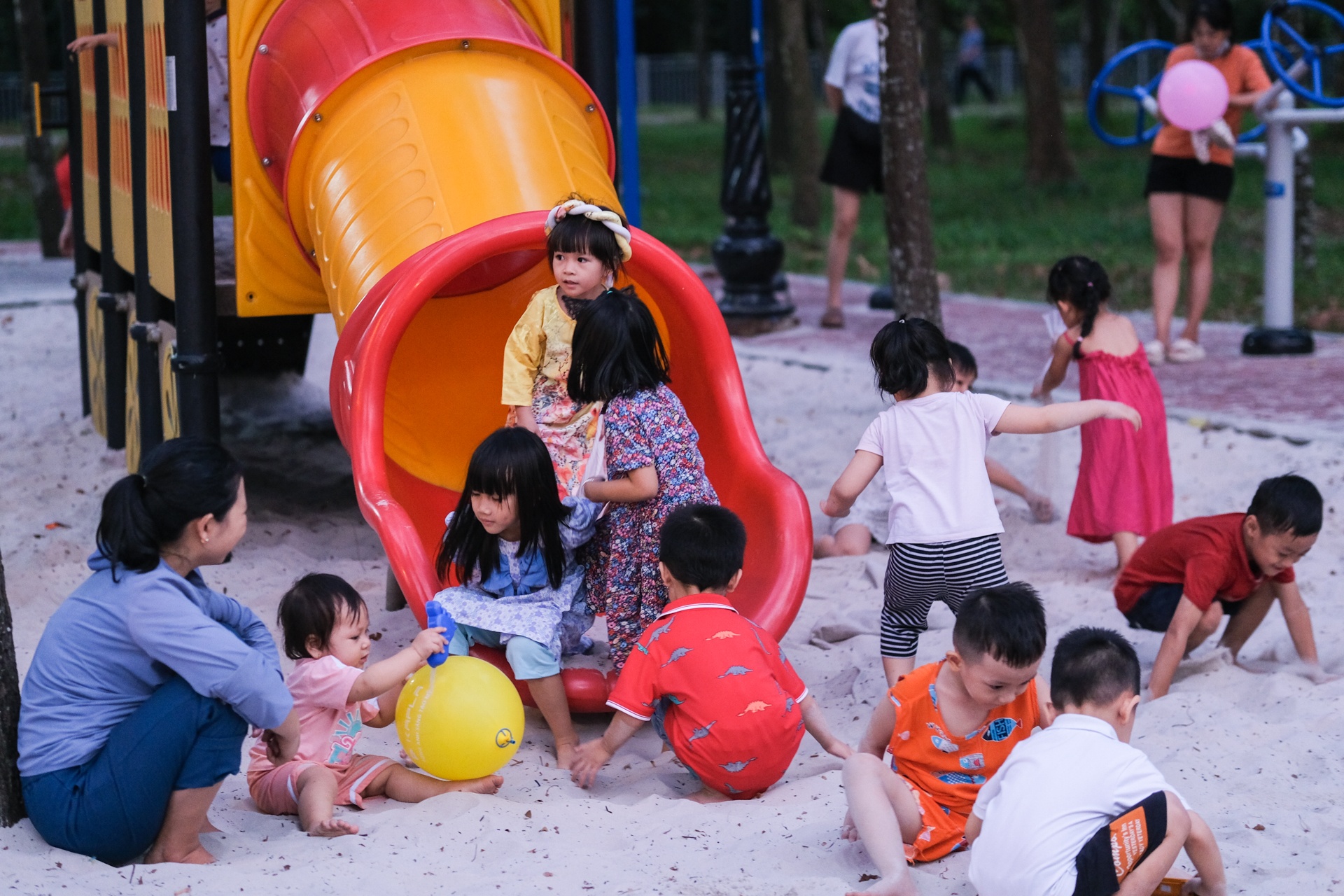 Cong vien Go Vap anh 10