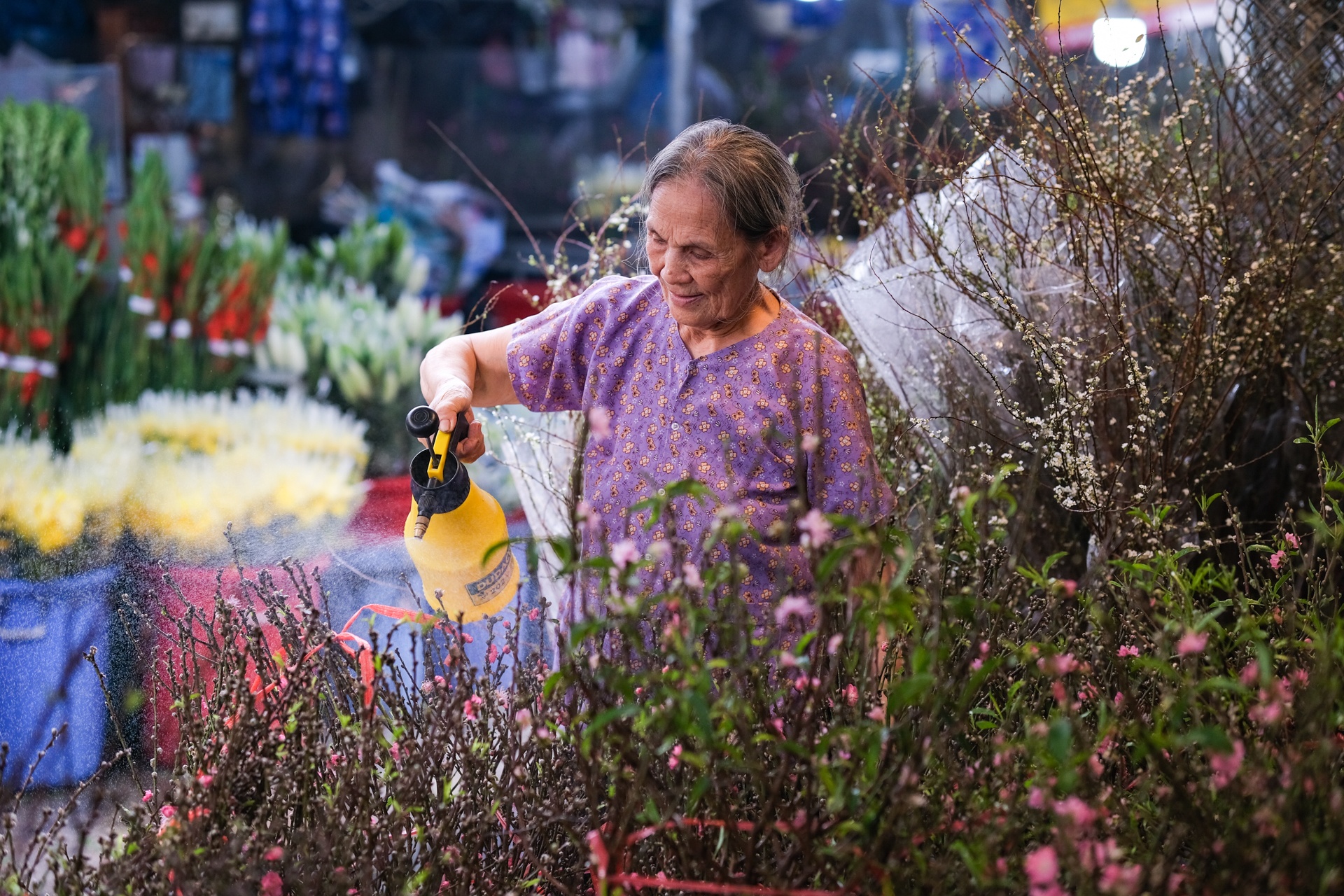 Choi dao Nhat Tan, tuyet mai som bat chap cai nang TP.HCM hinh anh