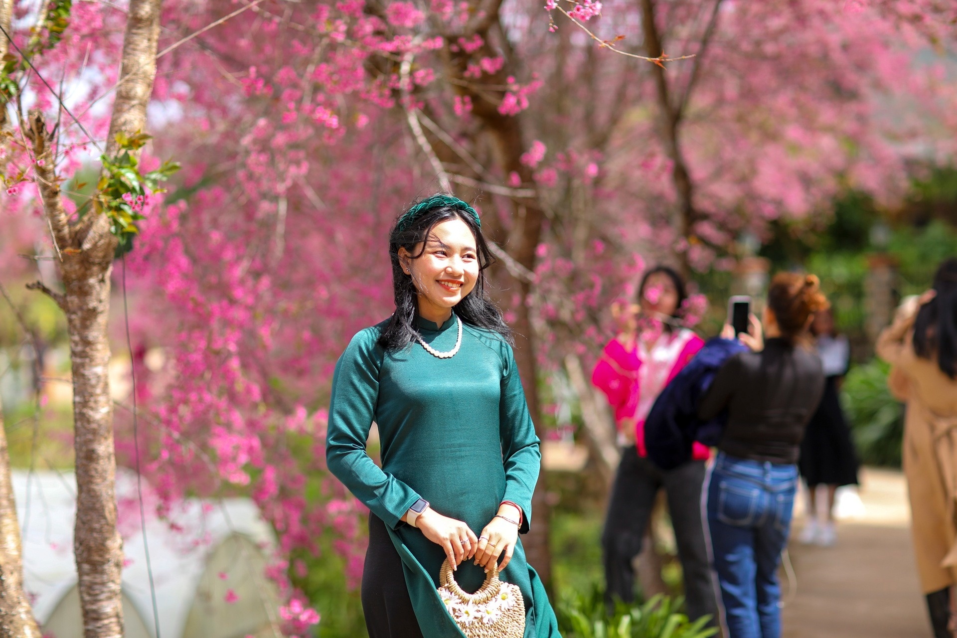 Khach den Da Lat tang 'vun vut' mua du lich Tet hinh anh