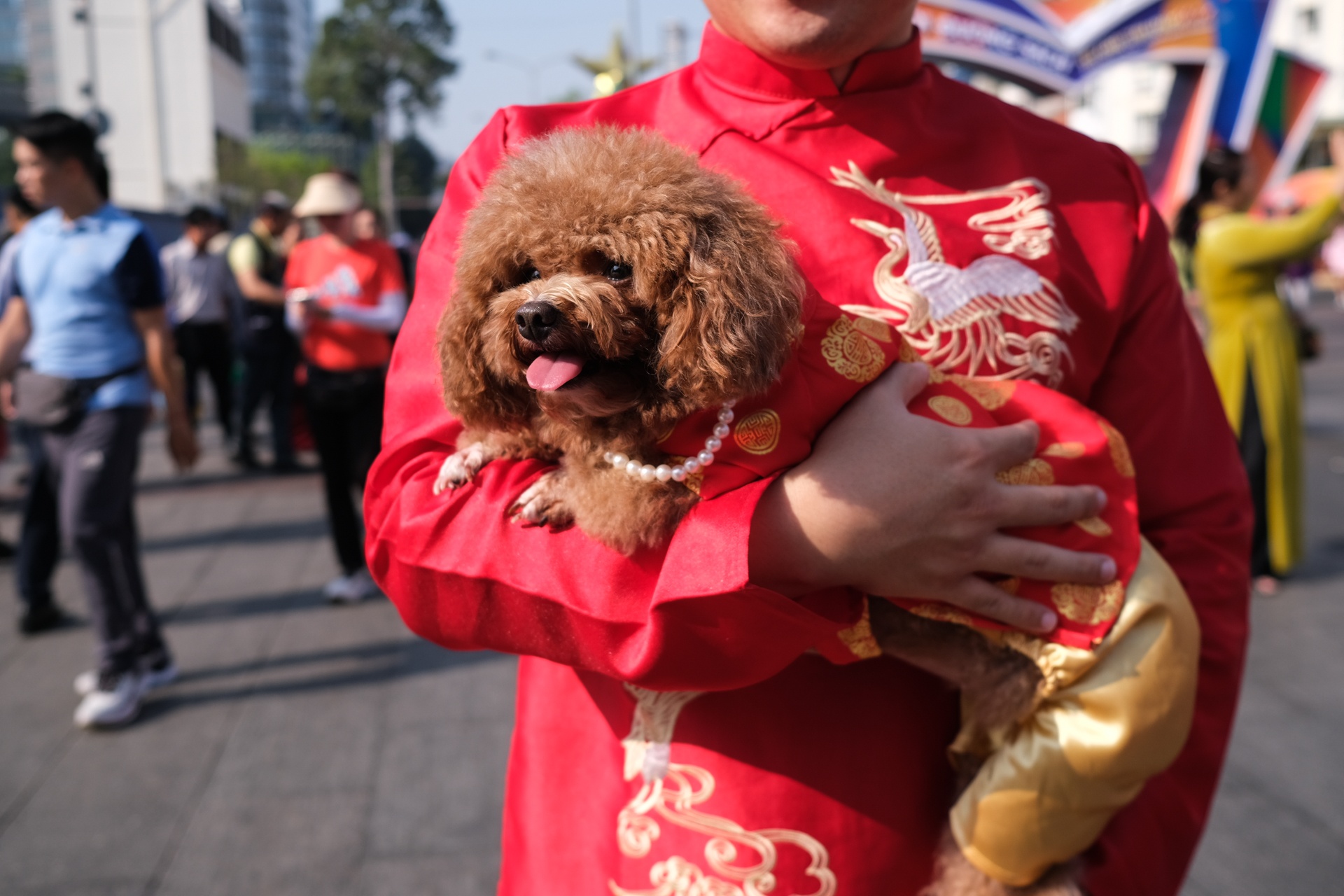 Duong hoa Nguyen Hue anh 13