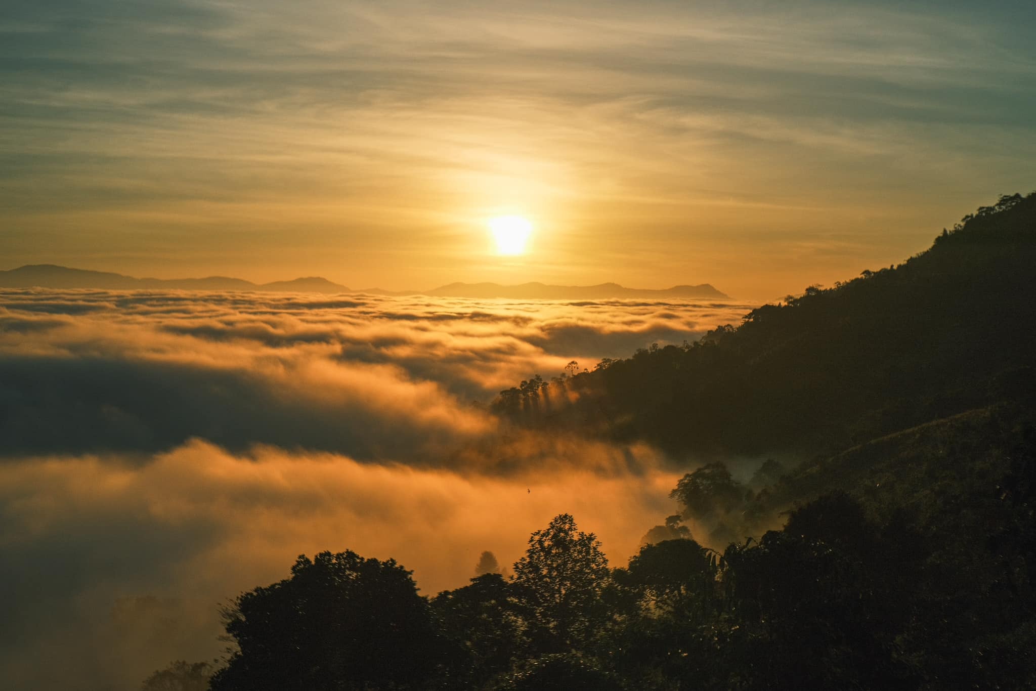 Du lich le 30/4 anh 6