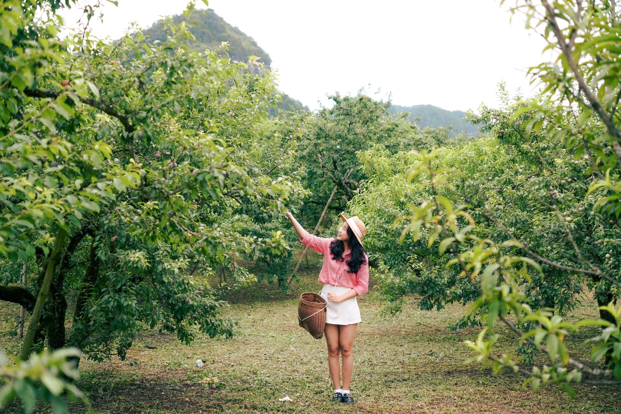 He nay den Son La san may, an Pa Pinh Top hinh anh