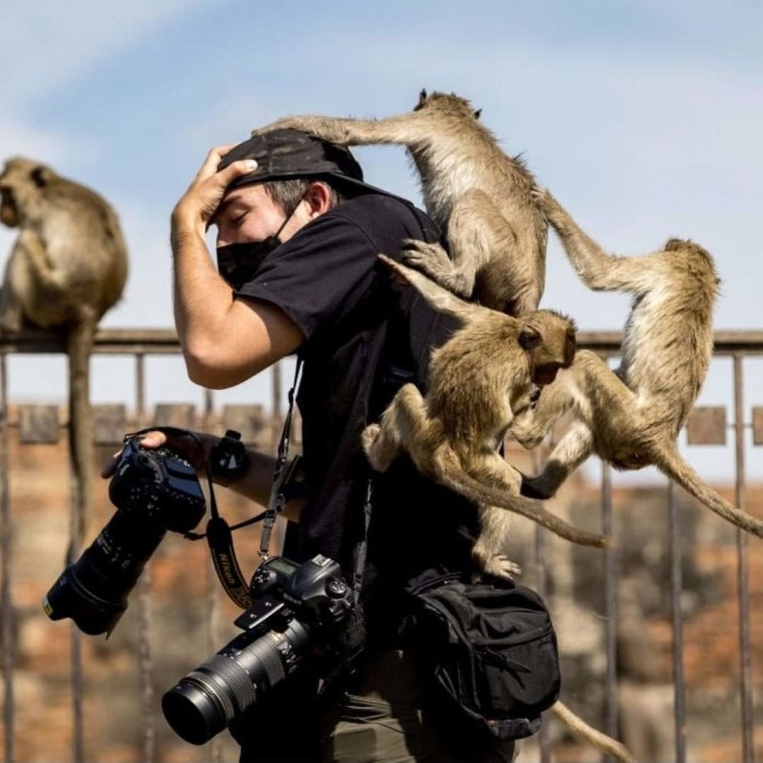 Lopburi ảnh 1 Lopburi anh 1