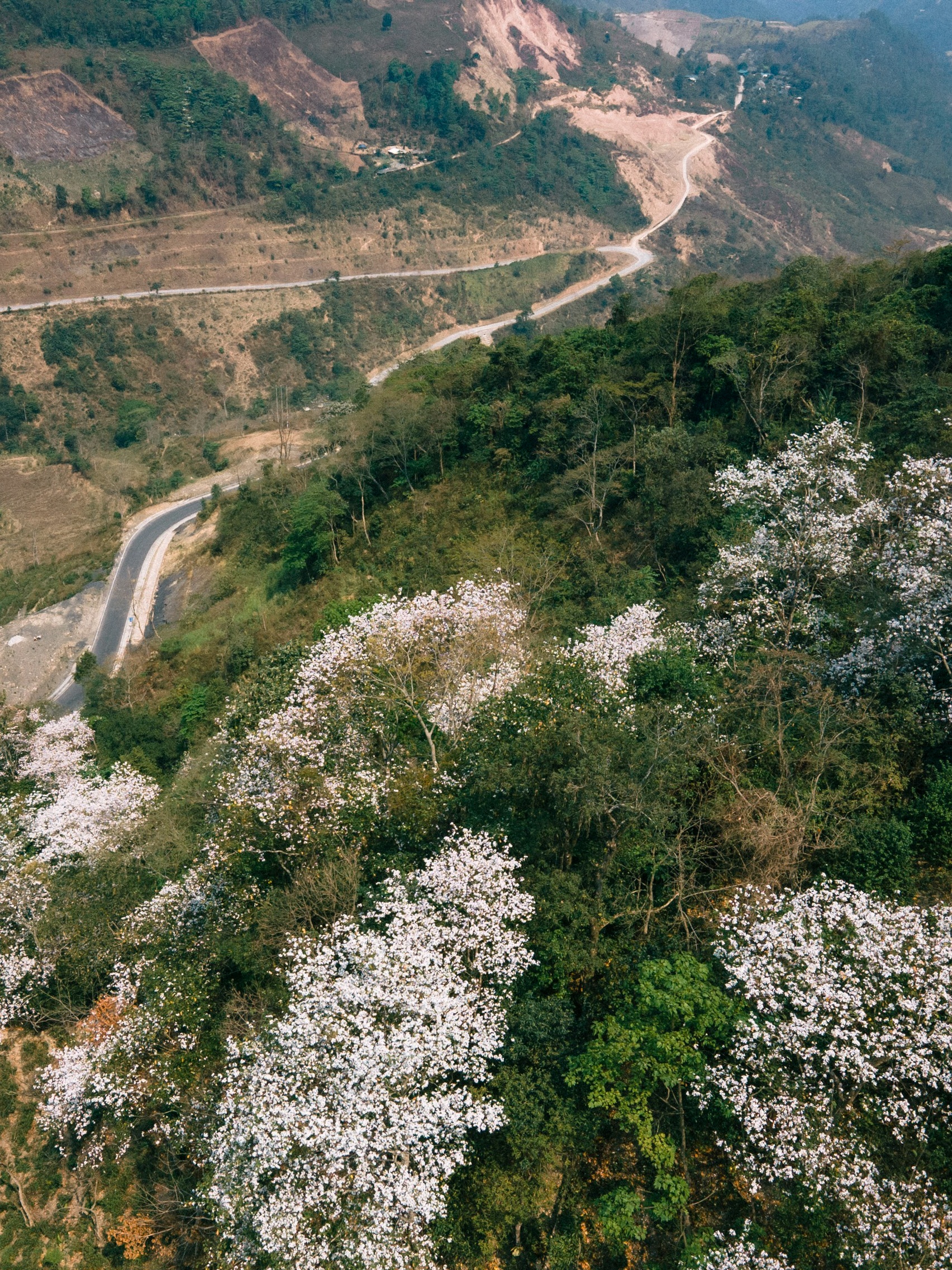 Du lịch Điện Biên ảnh 8 Du lich Dien Bien anh 8
