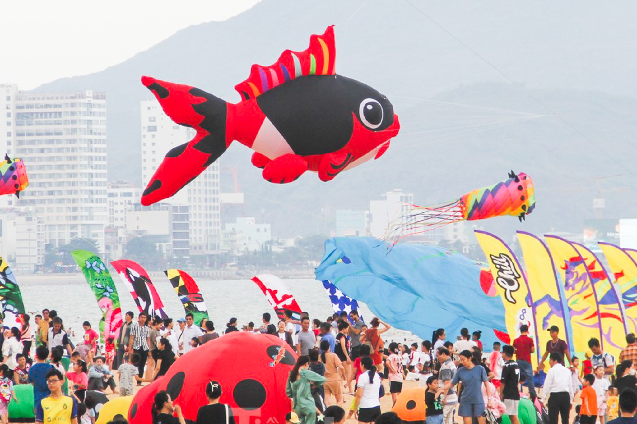 Hang nghin nguoi do ra bien Quy Nhon xem tha dieu hinh anh