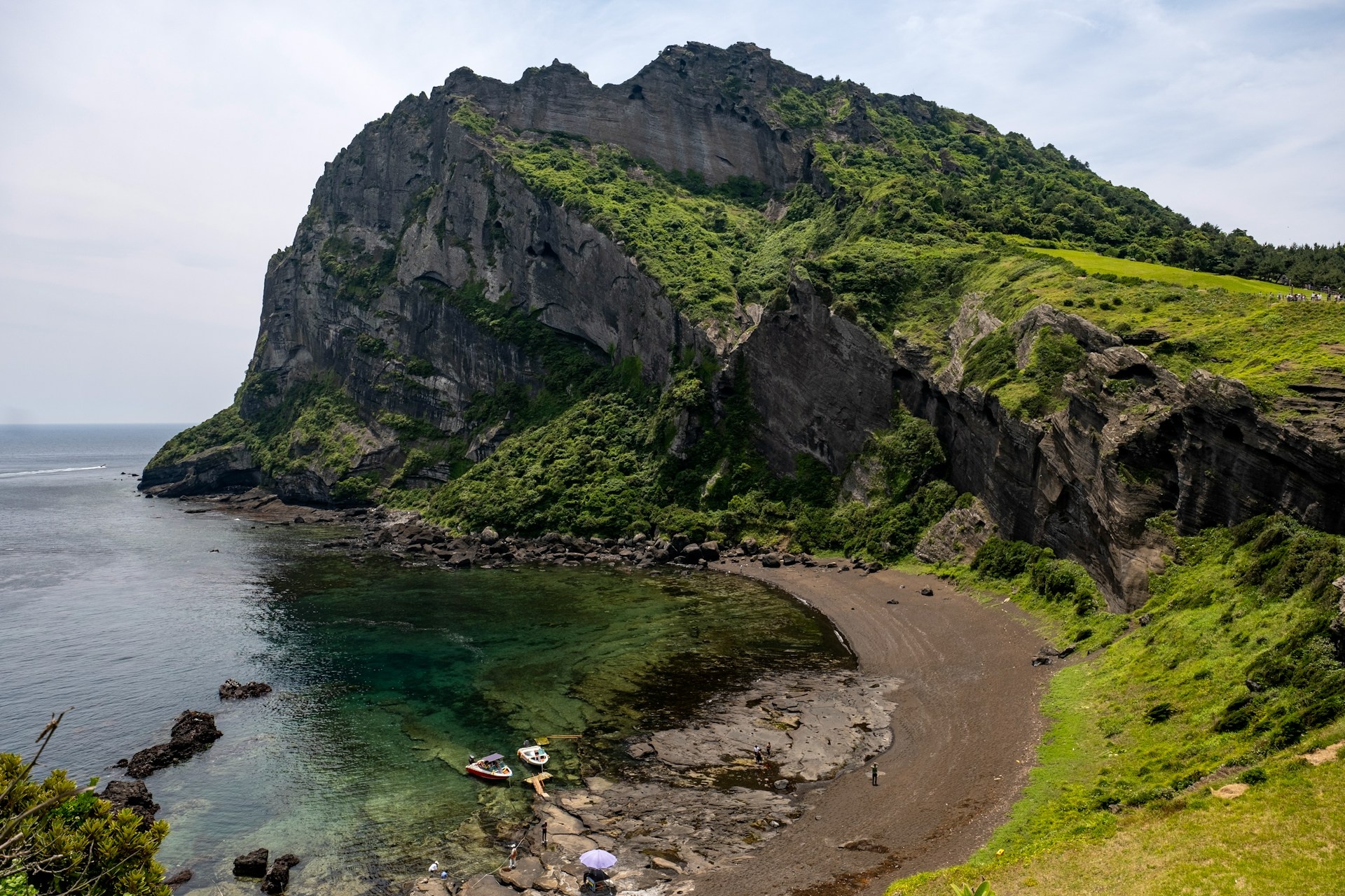 Mo cua vuon nguyen sinh 9.000 nam tuoi tai Jeju trong 4 ngay hinh anh
