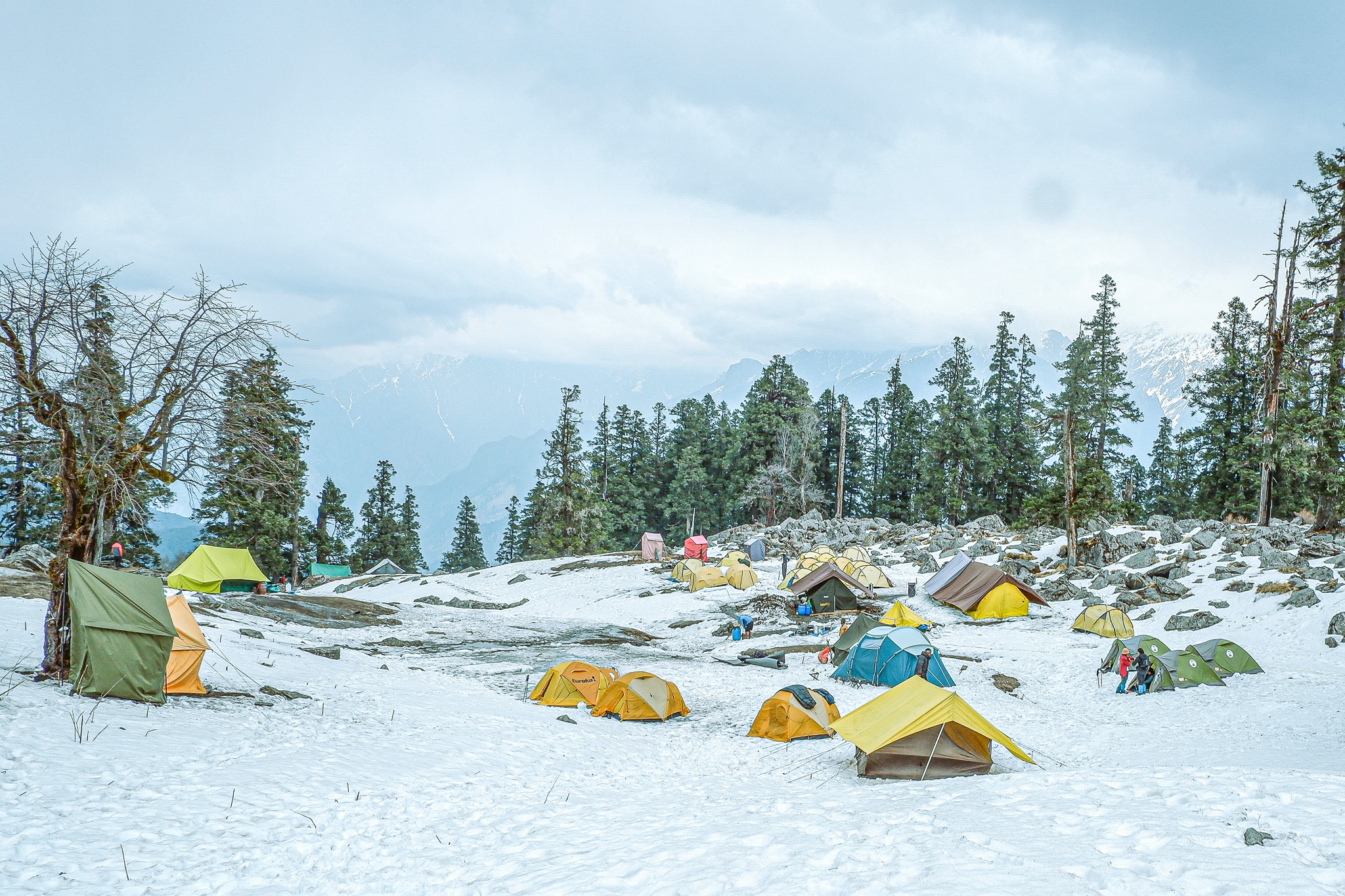 Trekking Pangarchulla anh 7