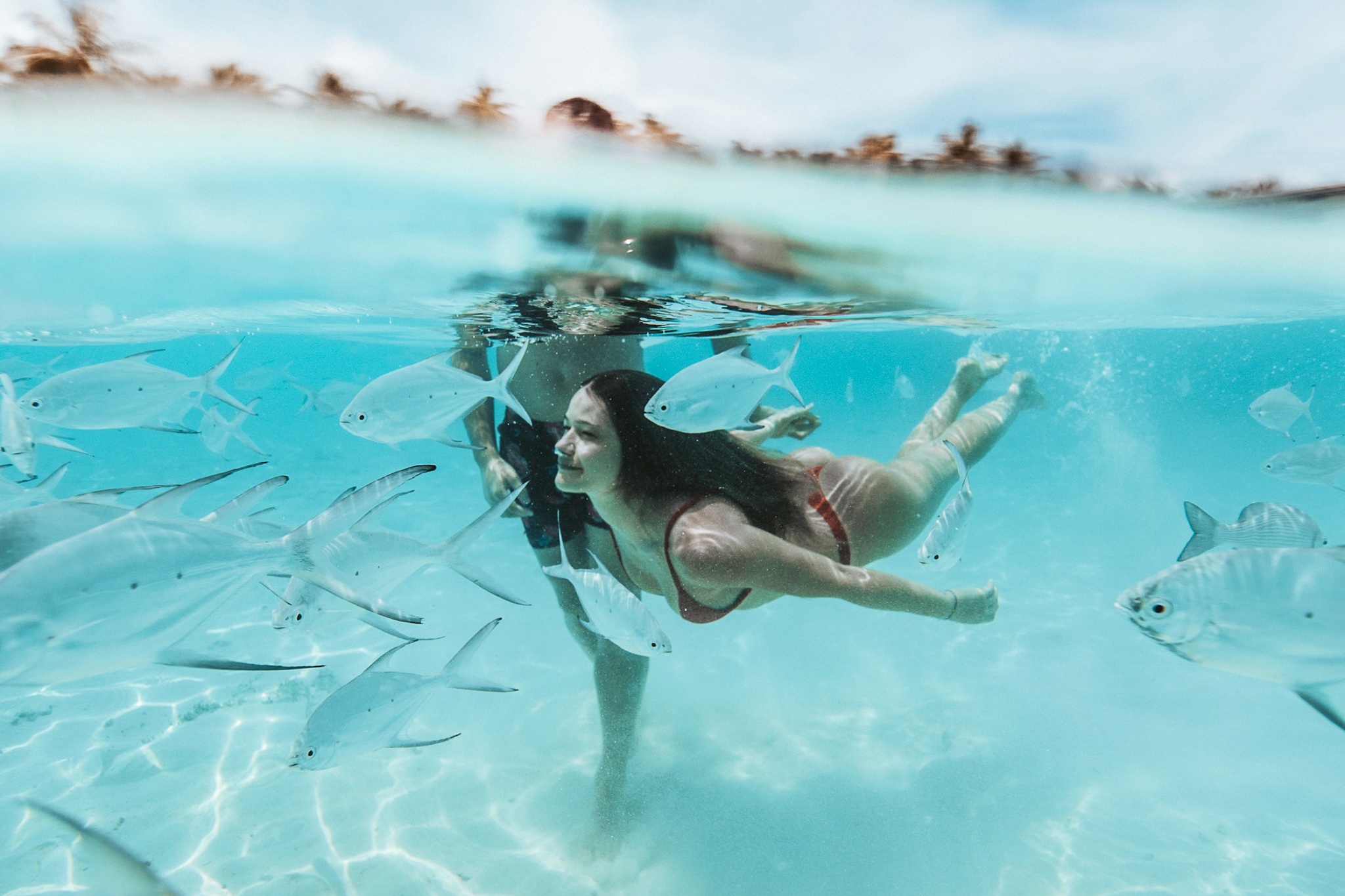 Maldives don luong khach ky luc nho mien thi thuc cho ca the gioi hinh anh