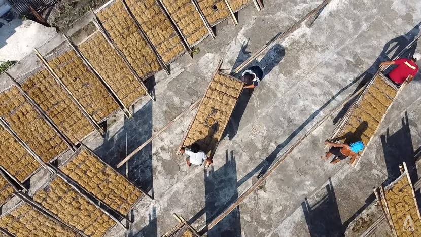 mie lethek ảnh 9 mie lethek anh 9