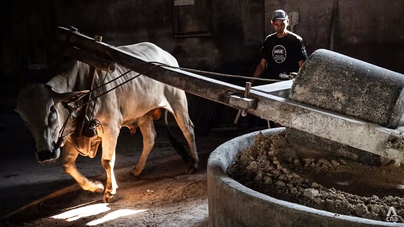 mie lethek ảnh 2 mie lethek anh 2