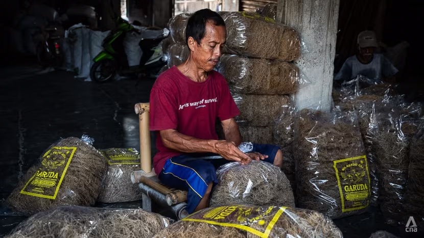 mie lethek ảnh 10 mie lethek anh 10