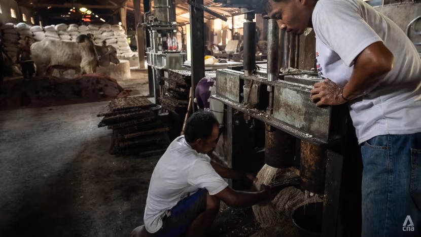 mie lethek ảnh 4 mie lethek anh 4