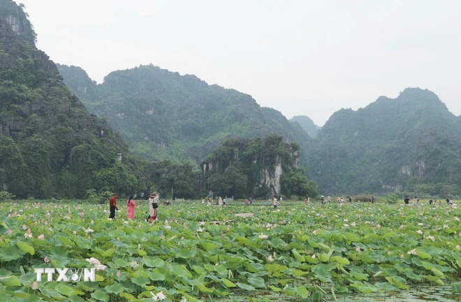 Ninh Binh anh 3