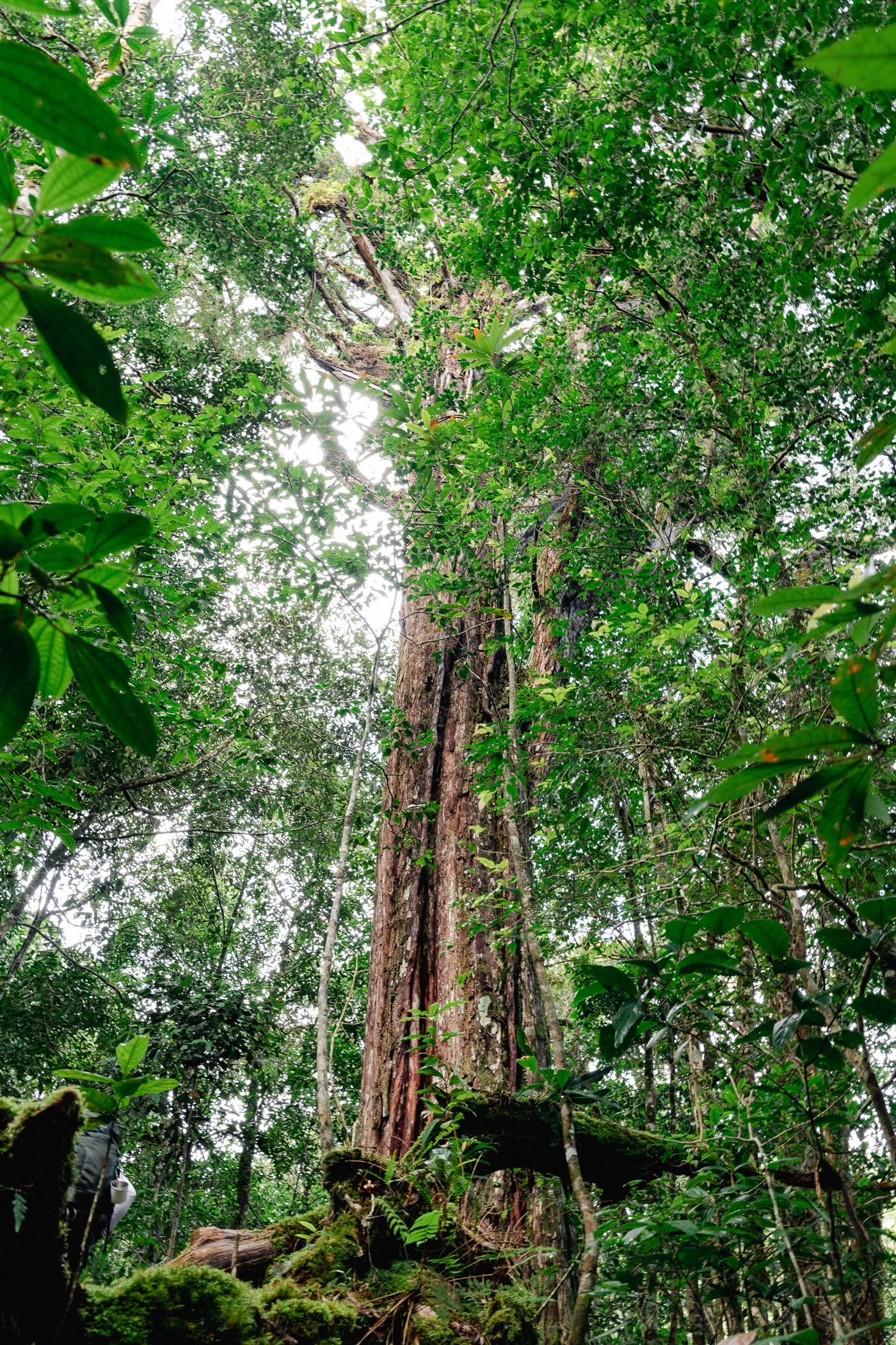 trekking Bidoup - Ta Giang anh 8