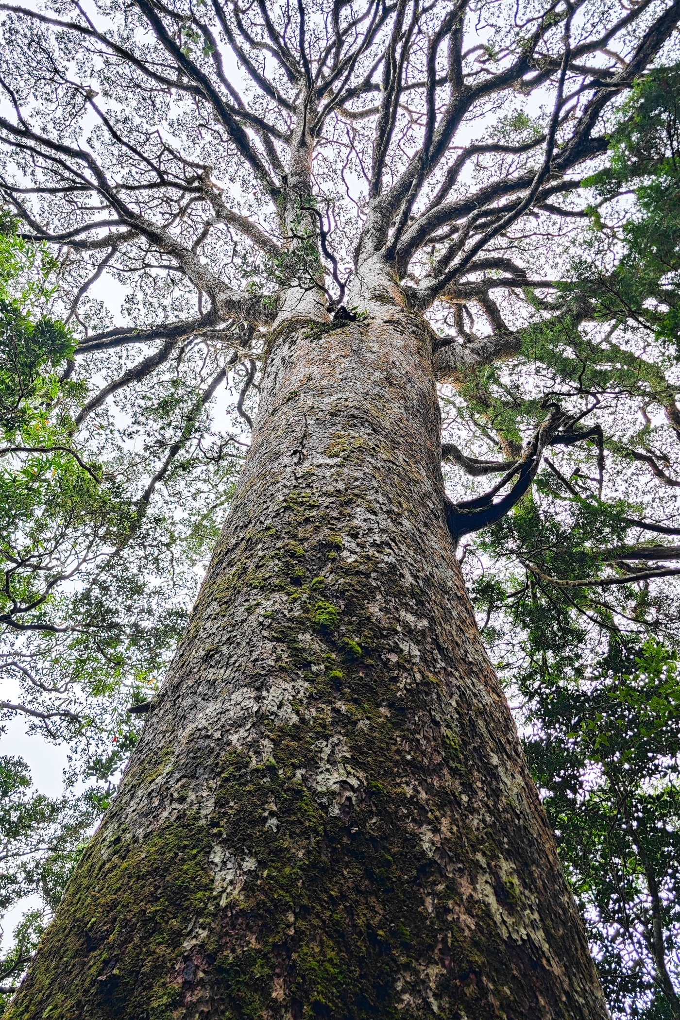 trekking Bidoup - Ta Giang anh 10