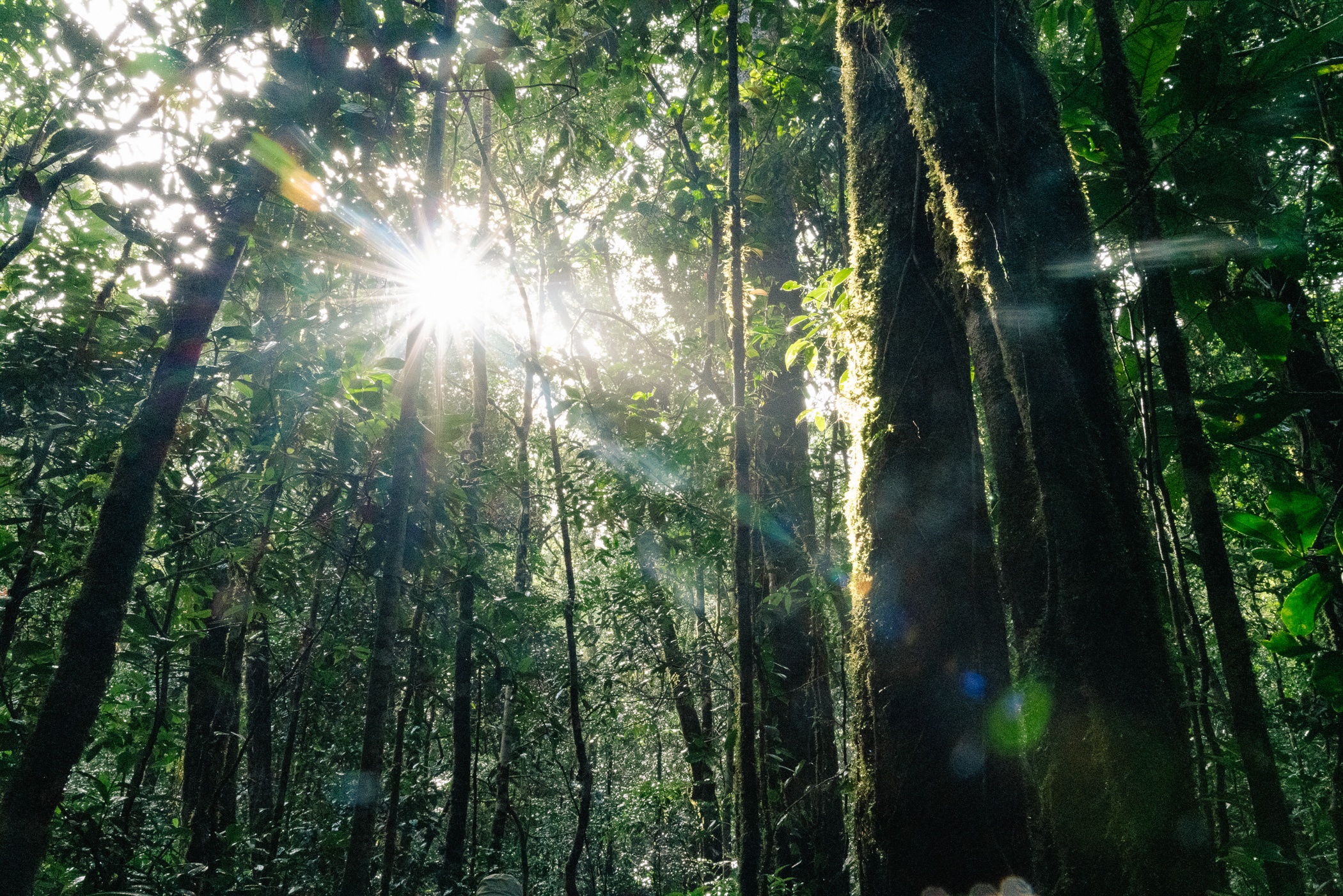 trekking Bidoup - Ta Giang anh 4