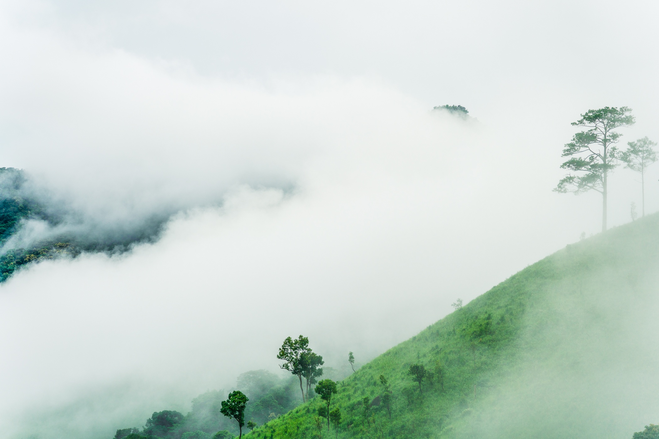 trekking Bidoup - Ta Giang anh 14