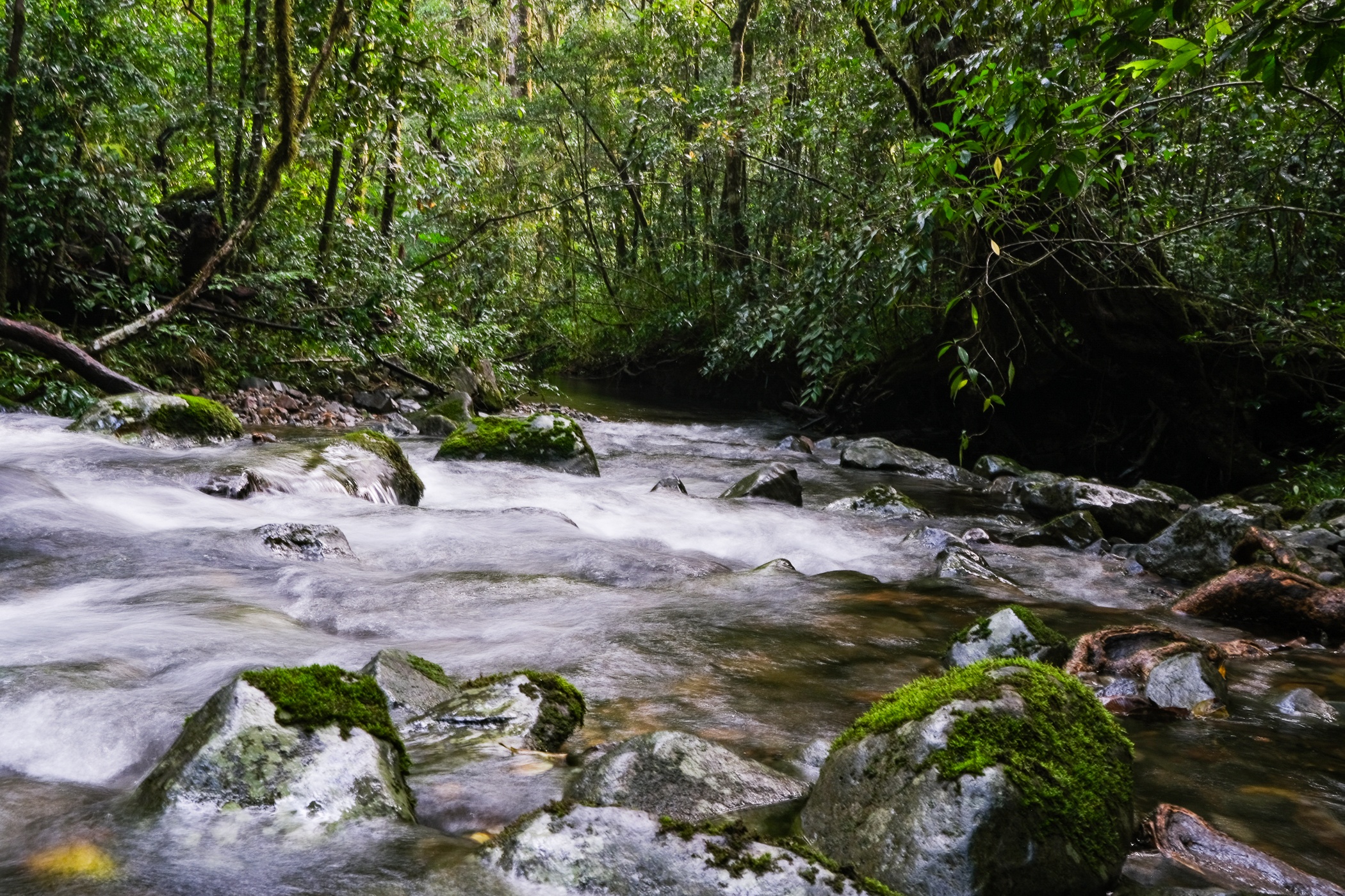 trekking Bidoup - Ta Giang anh 7