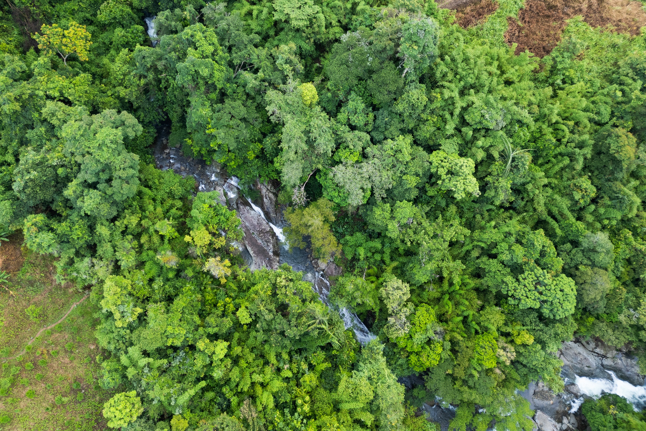 trekking Bidoup - Ta Giang anh 17