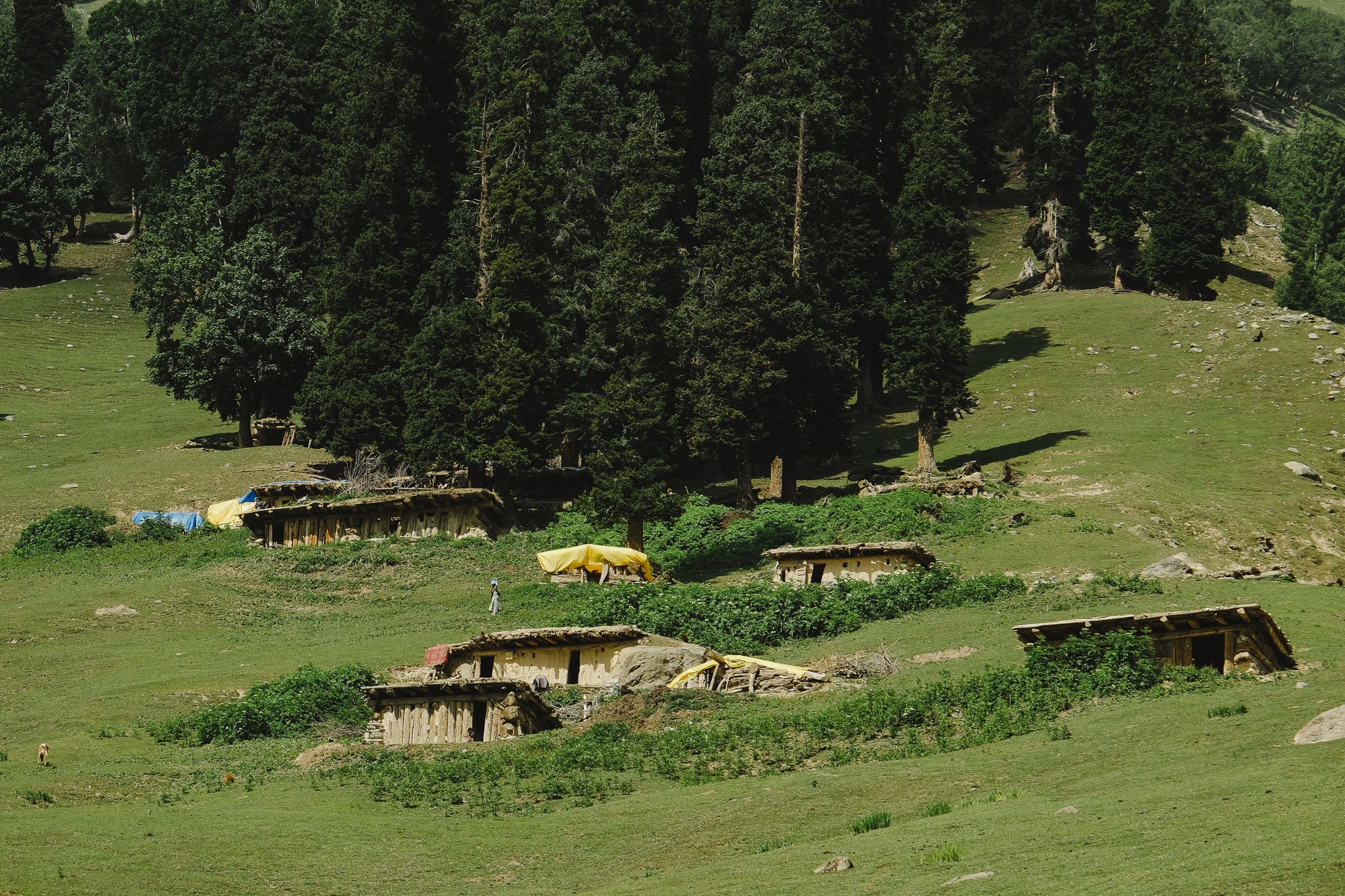 Trekking Kashmir anh 3