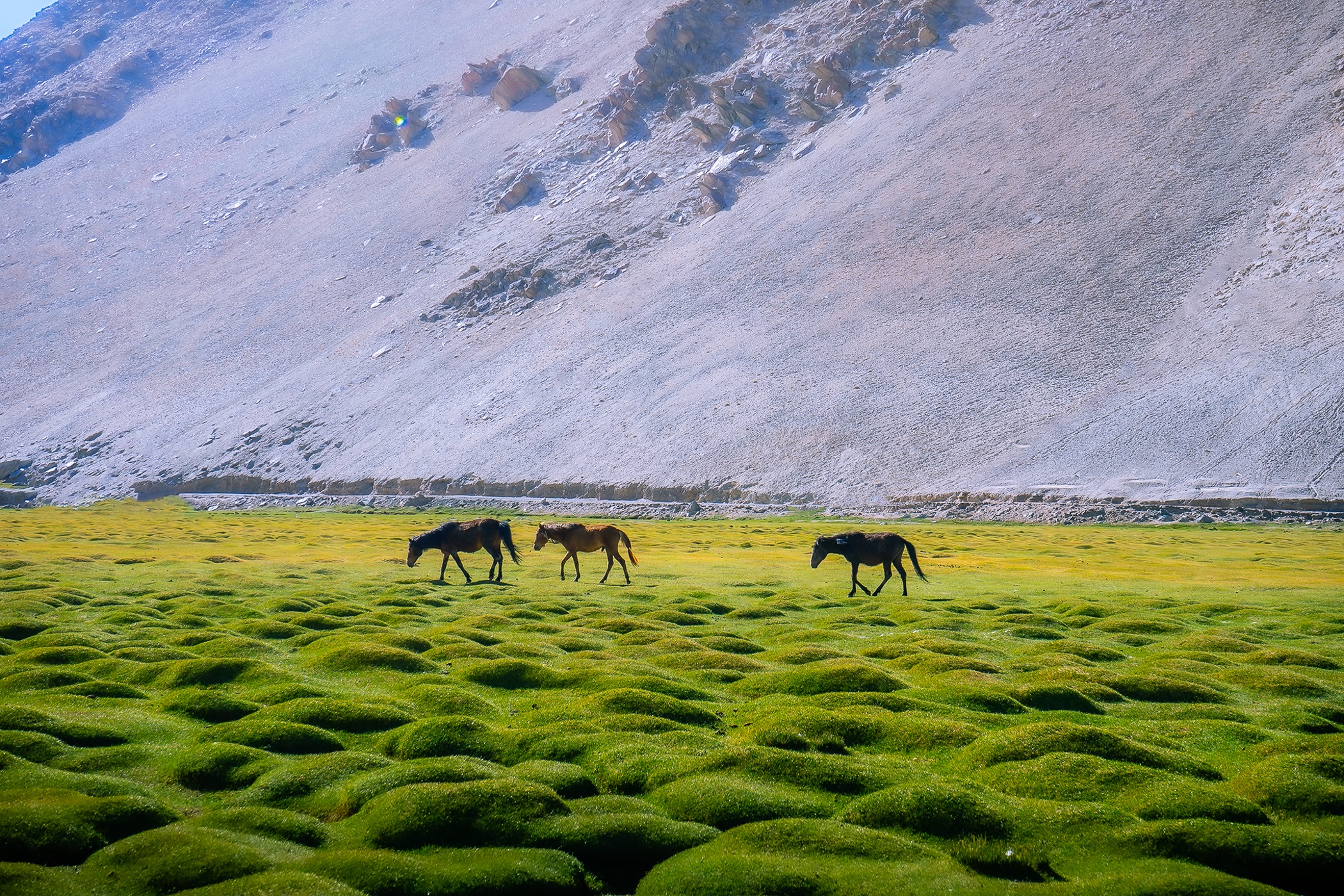 Ladakh anh 6