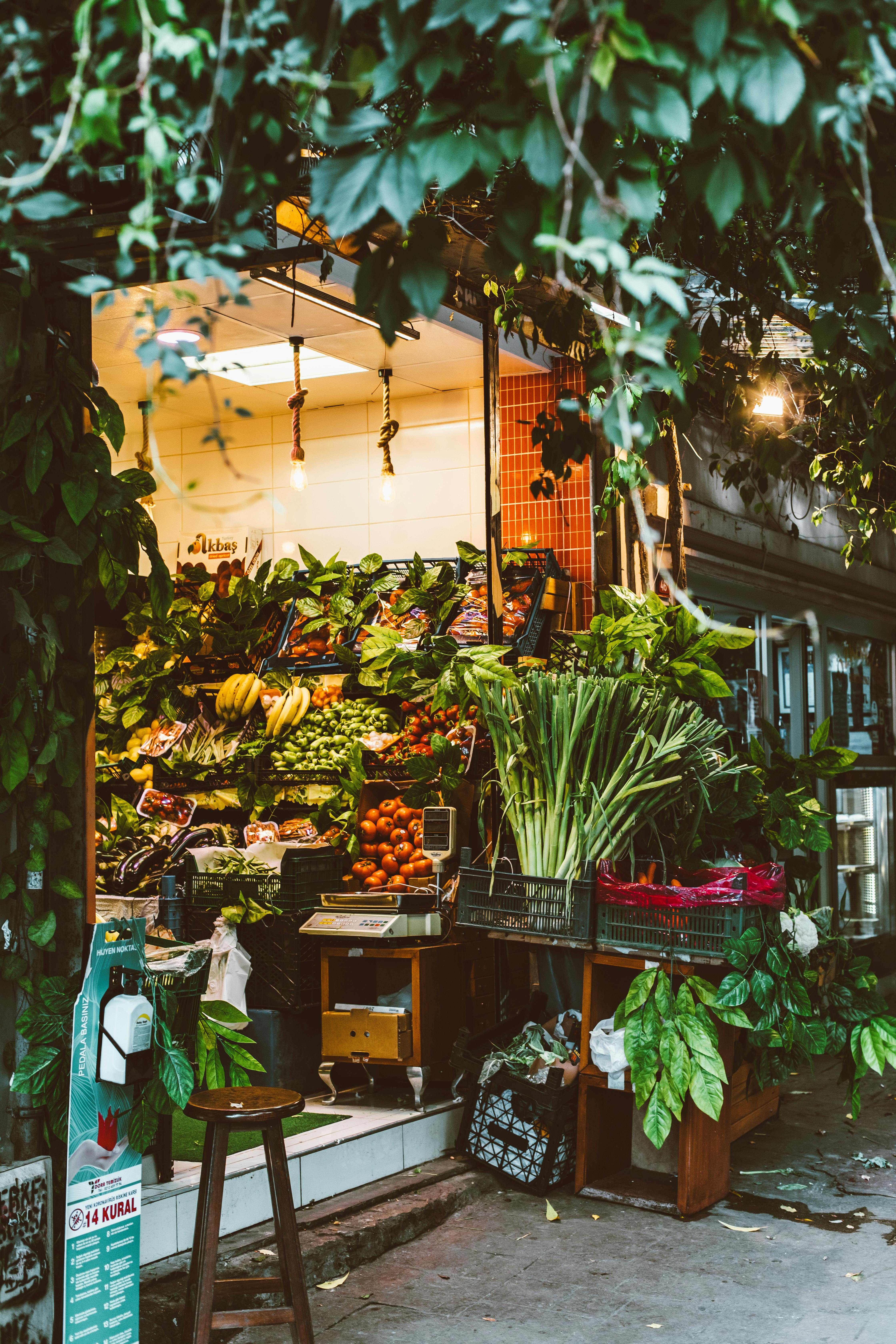 grocery store tourism anh 9