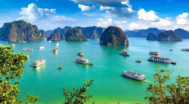 vinh Ha Long anh 1