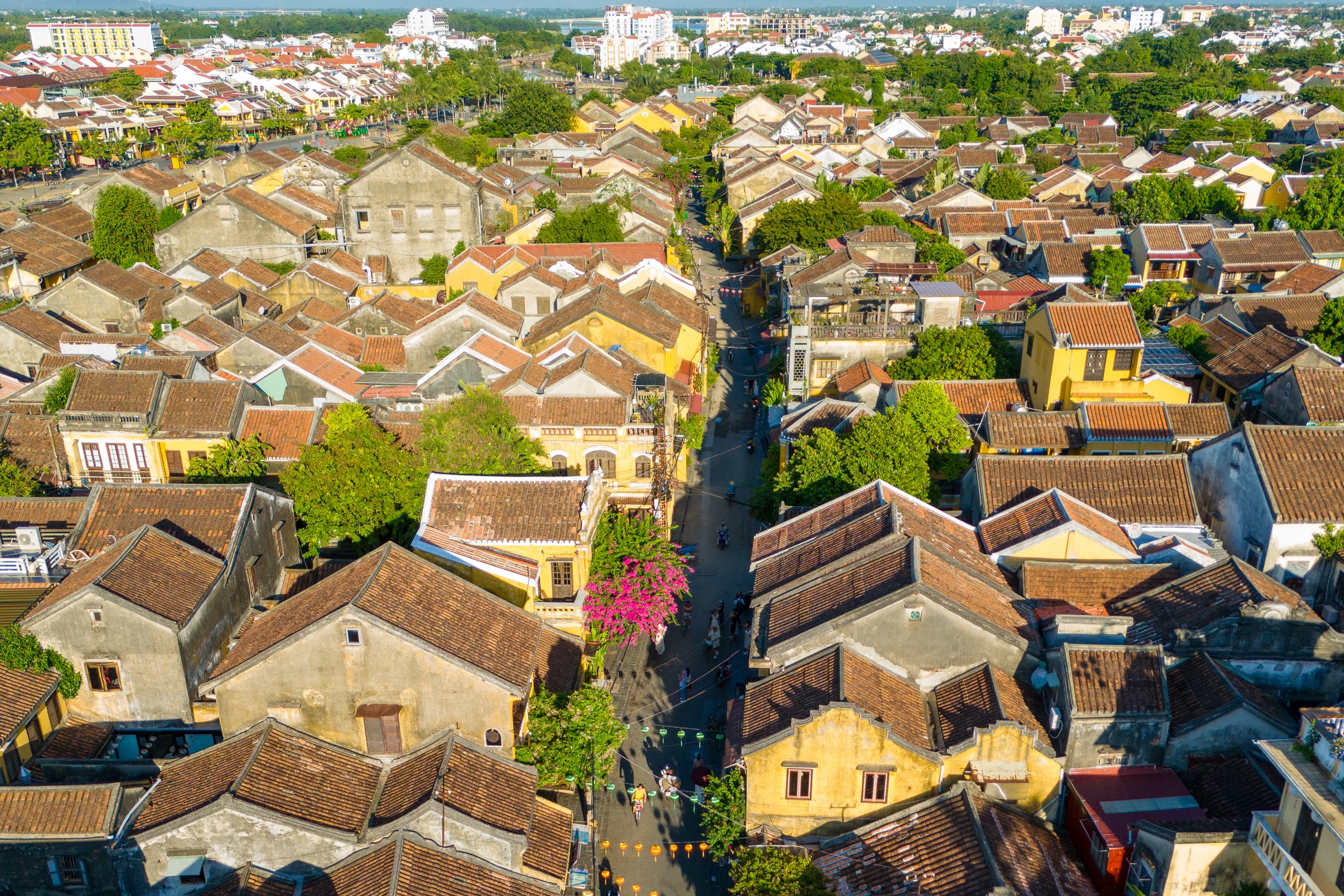 Hem vang Hoi An anh 1