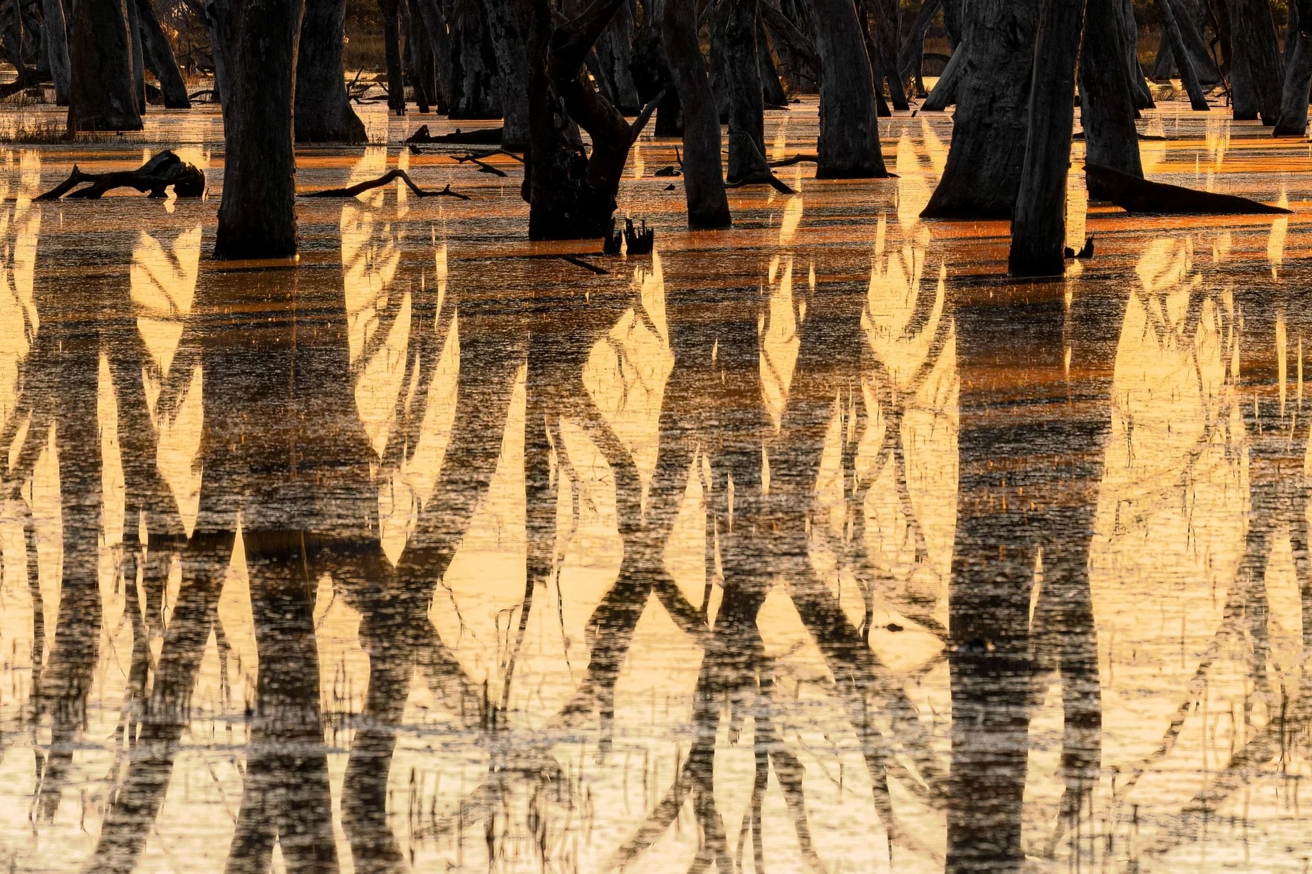 Nhiep anh thien nhien anh 3