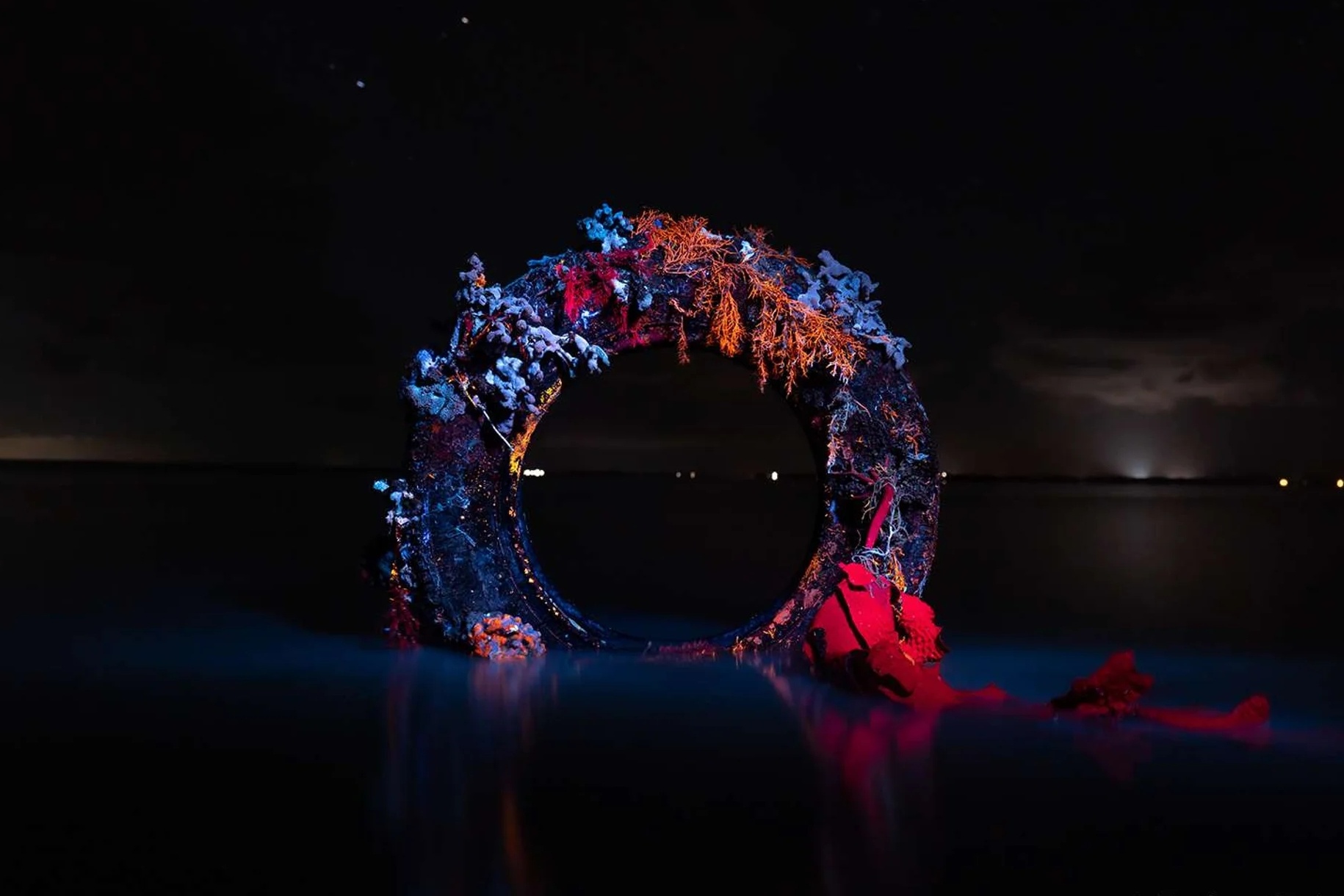 Nhiep anh thien nhien anh 7