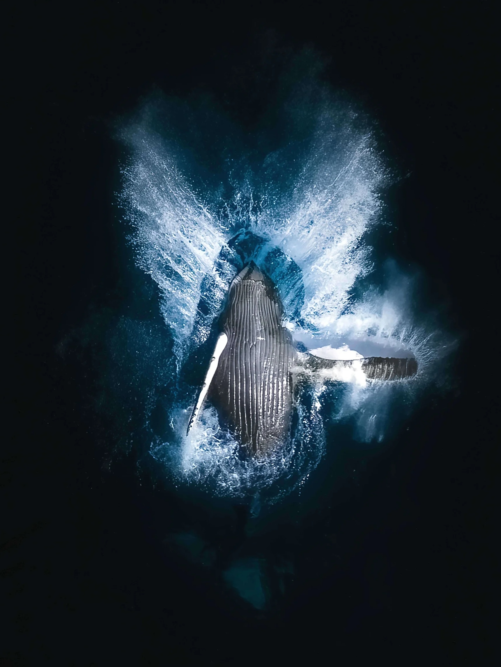 Nhiep anh thien nhien anh 9