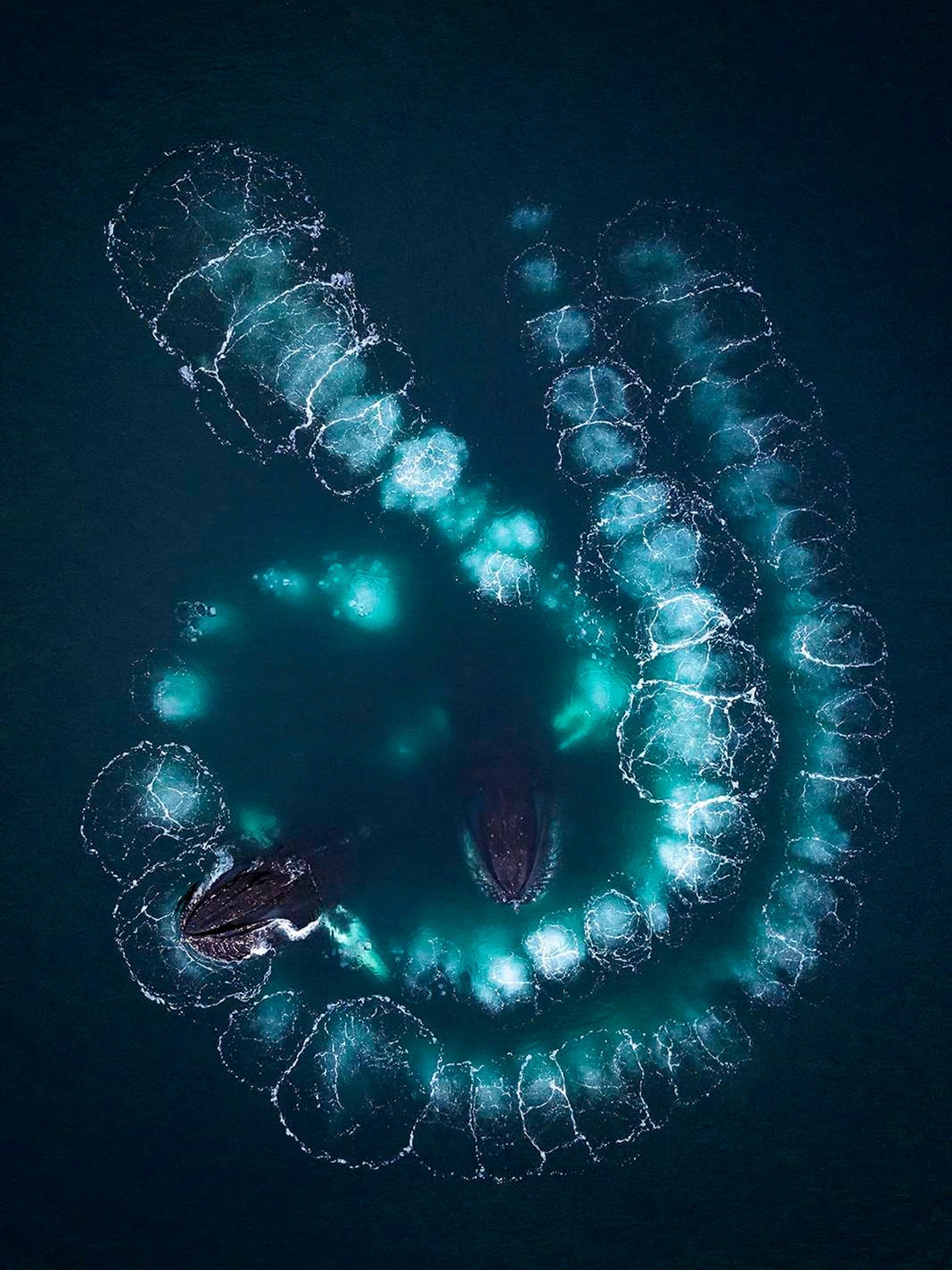 Nhiep anh thien nhien anh 1