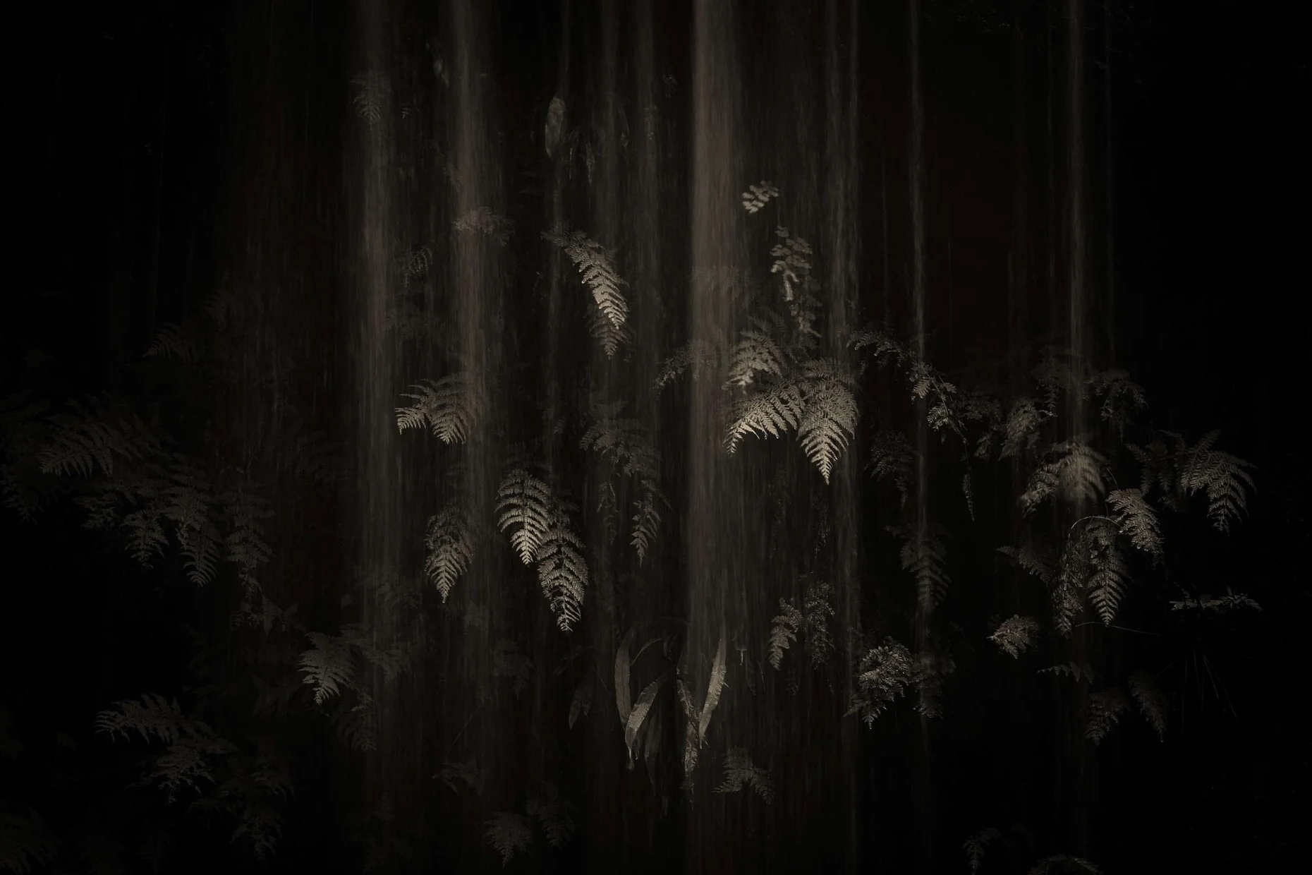 Nhiep anh thien nhien anh 6