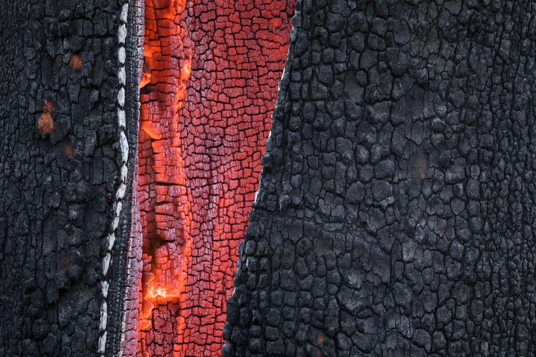 Nhiep anh thien nhien anh 10