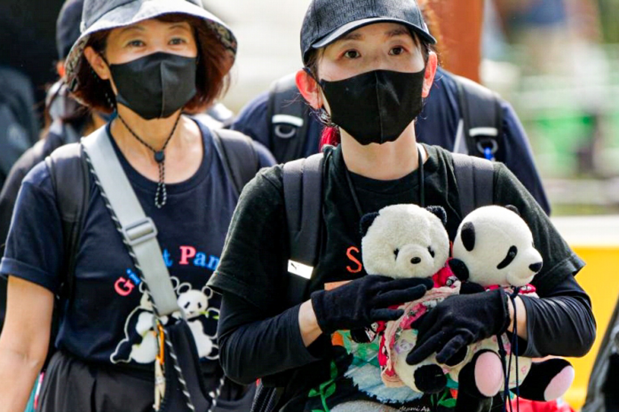 Hon 12.000 nguoi quay xo so, gianh ve chia tay gau truc o Nhat Ban hinh anh