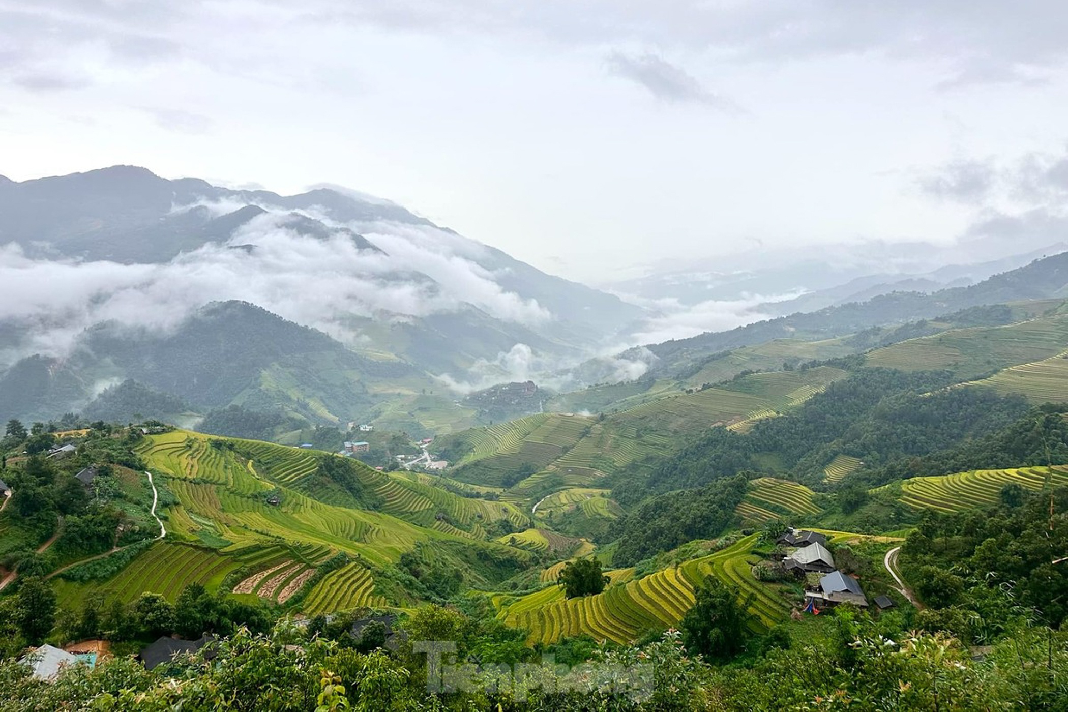 Mu Cang Chai anh 1