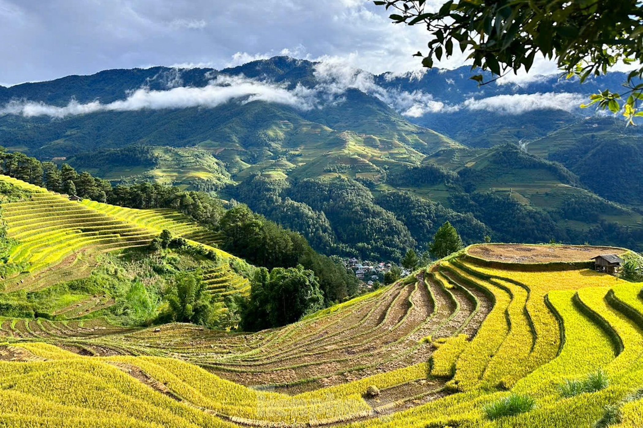 Mu Cang Chai anh 2