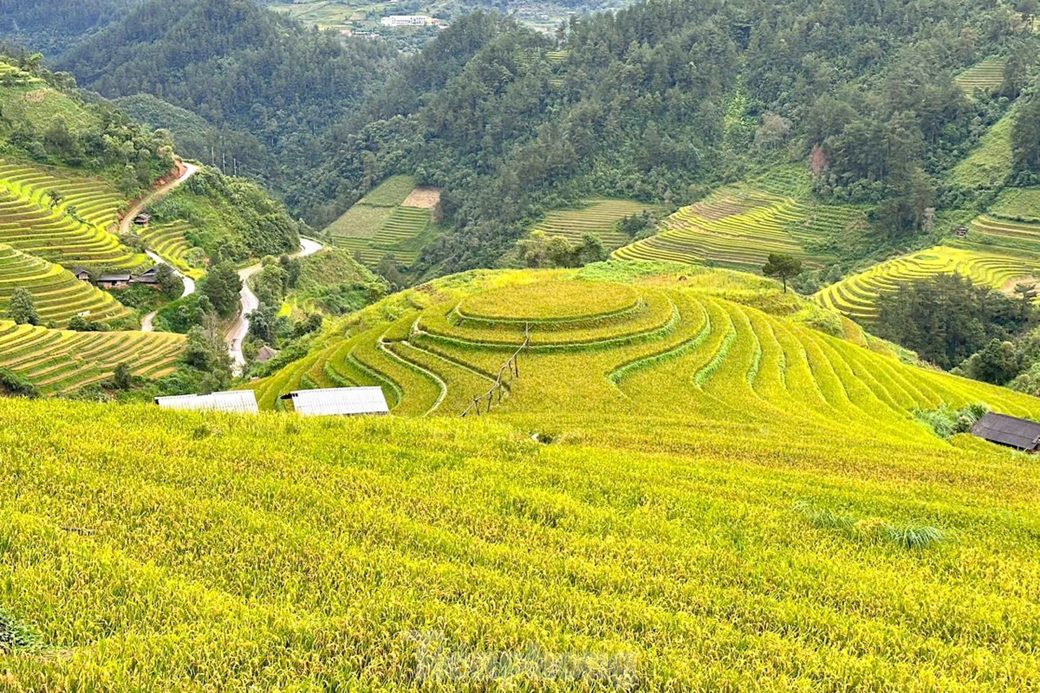 Mu Cang Chai anh 7