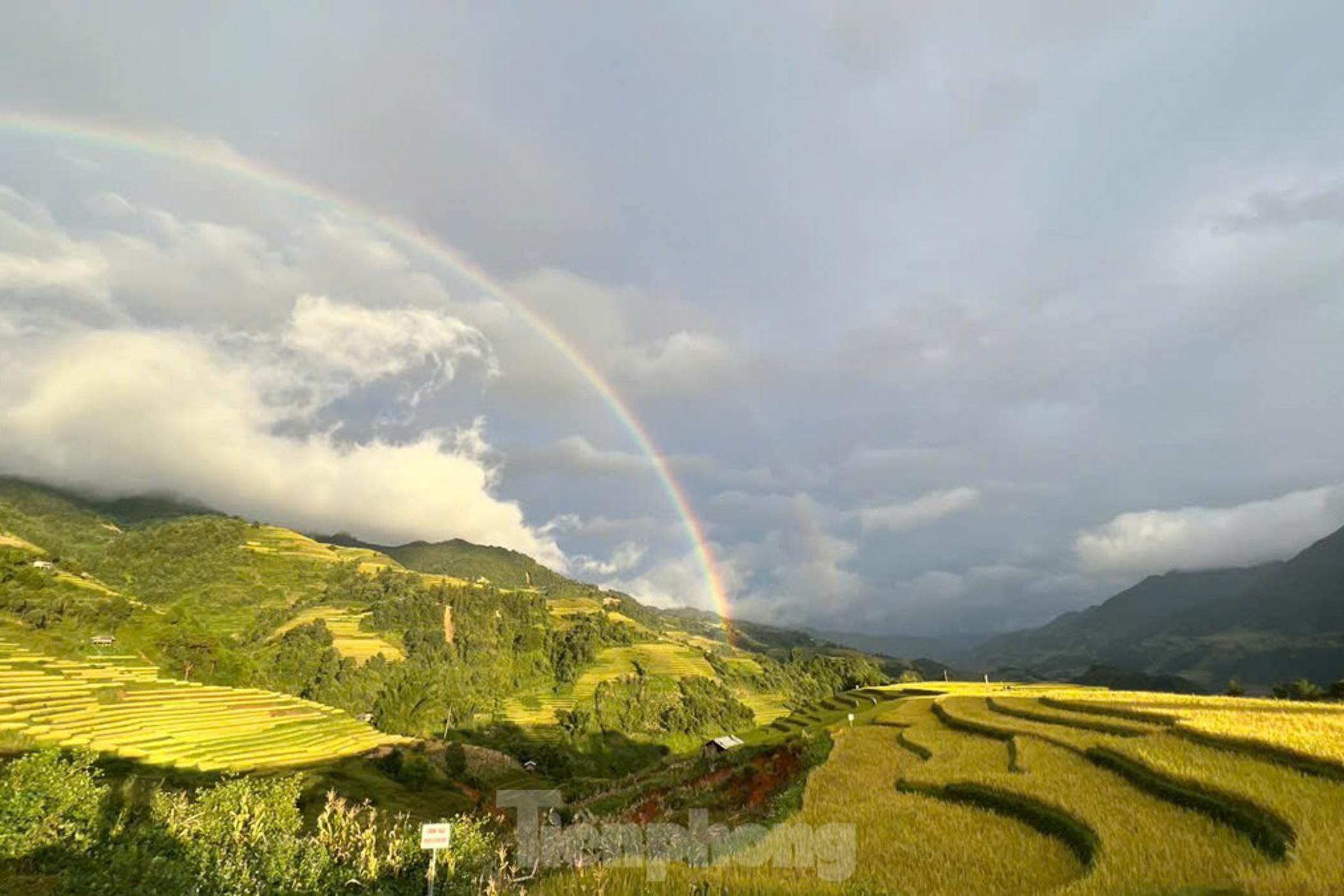 Mu Cang Chai anh 8