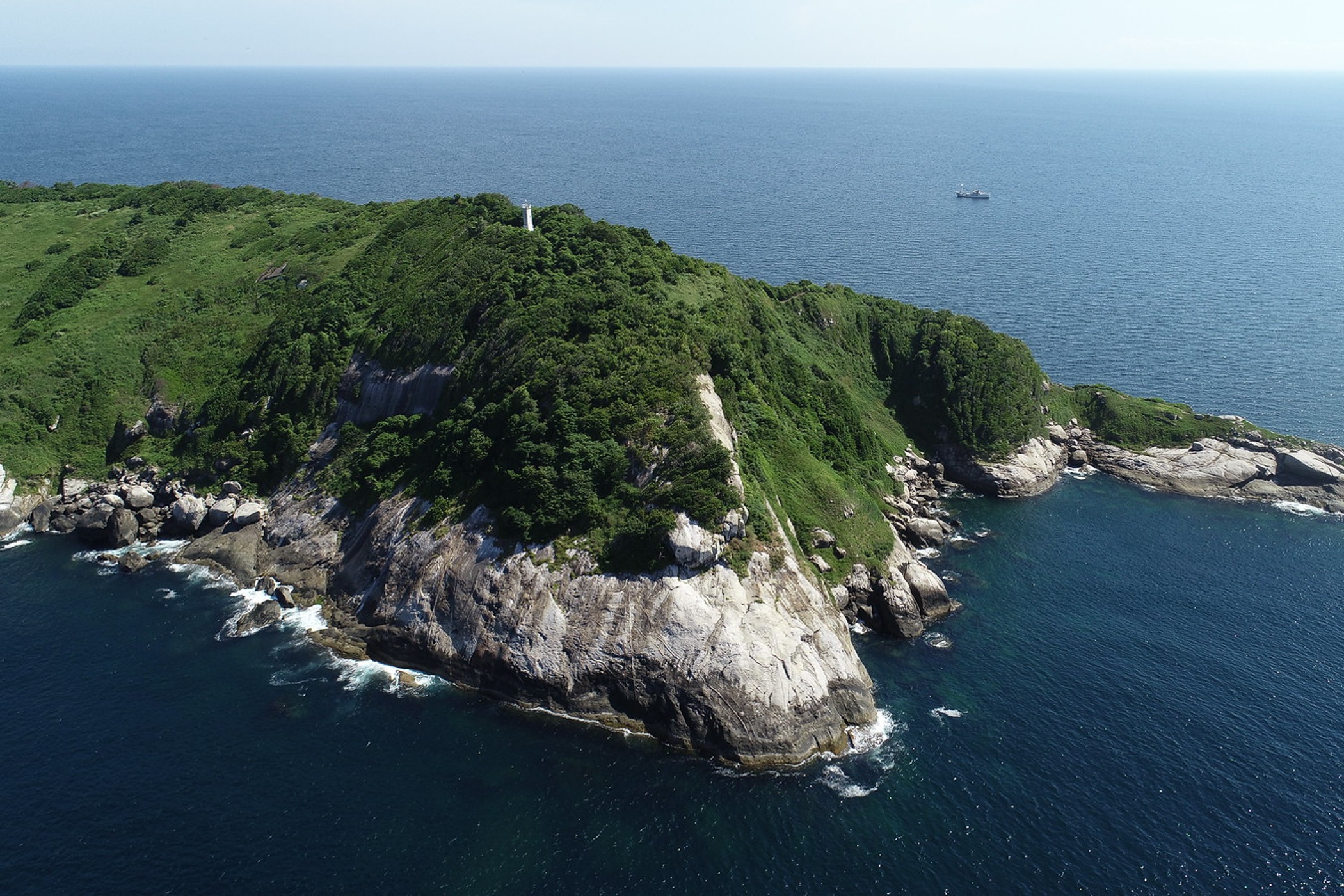 Hon dao moi m2 co 1 con ran o Brazil hinh anh