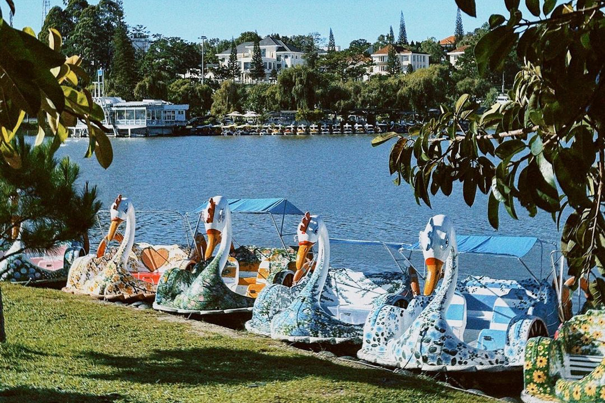 Da Lat dung dap vit tren ho Xuan Huong hinh anh