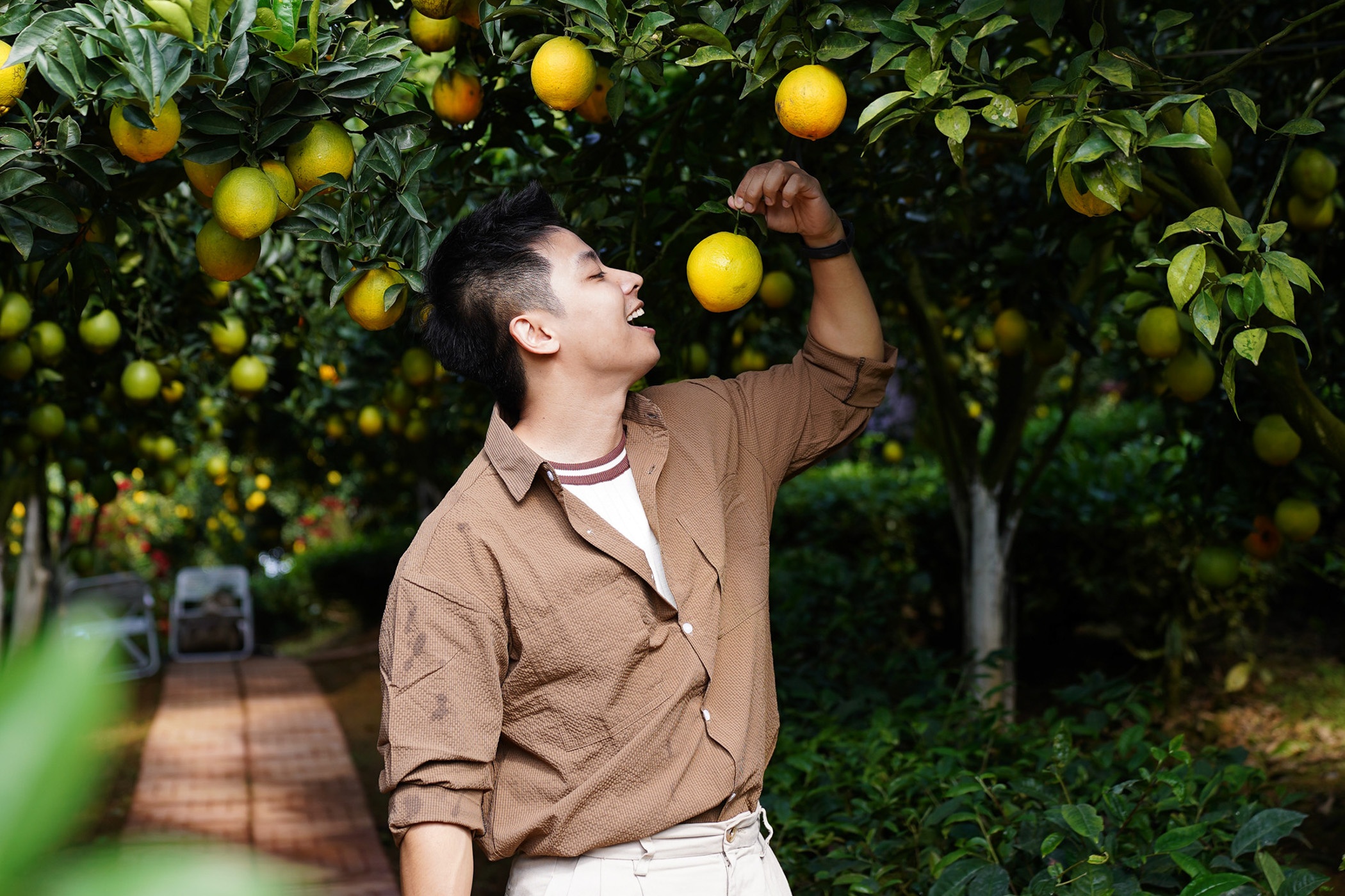 San anh 'nghin like' tai vuon cam ron loi dang hot nhat Moc Chau hinh anh