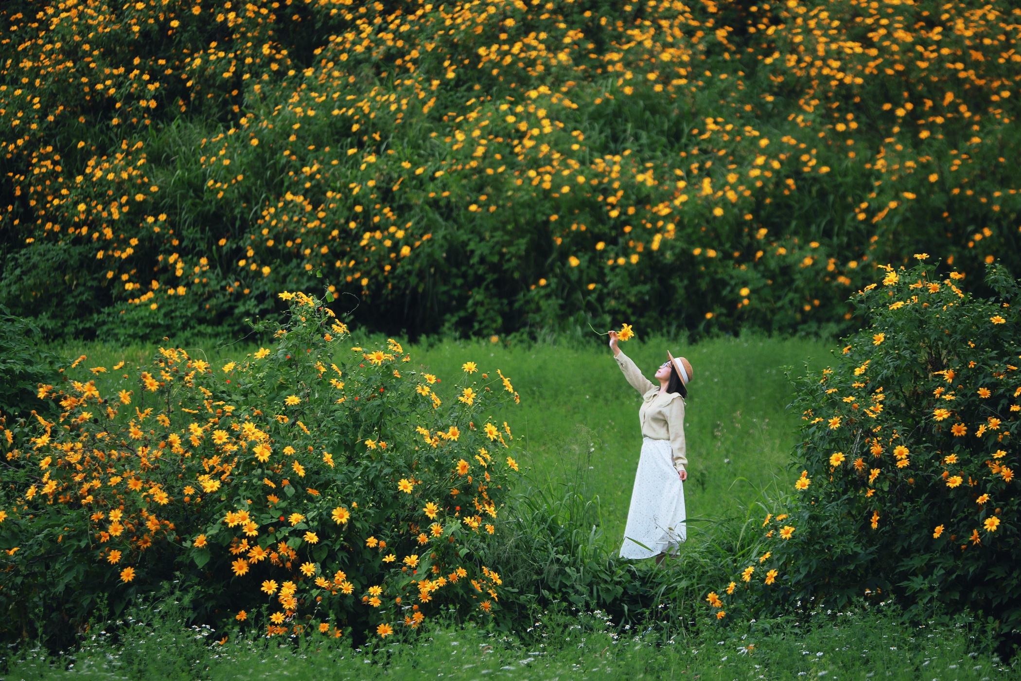 Lac loi giua nhung dong hoa da quy bat tan o ngoai o Da Lat hinh anh