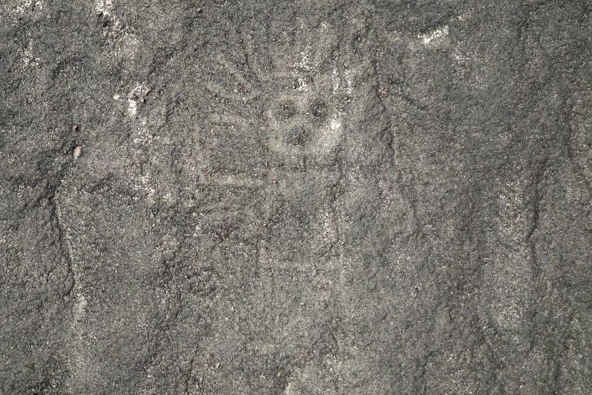 Can canh 303 hinh ve bi an duoc tim thay tren sa mac o Peru hinh anh