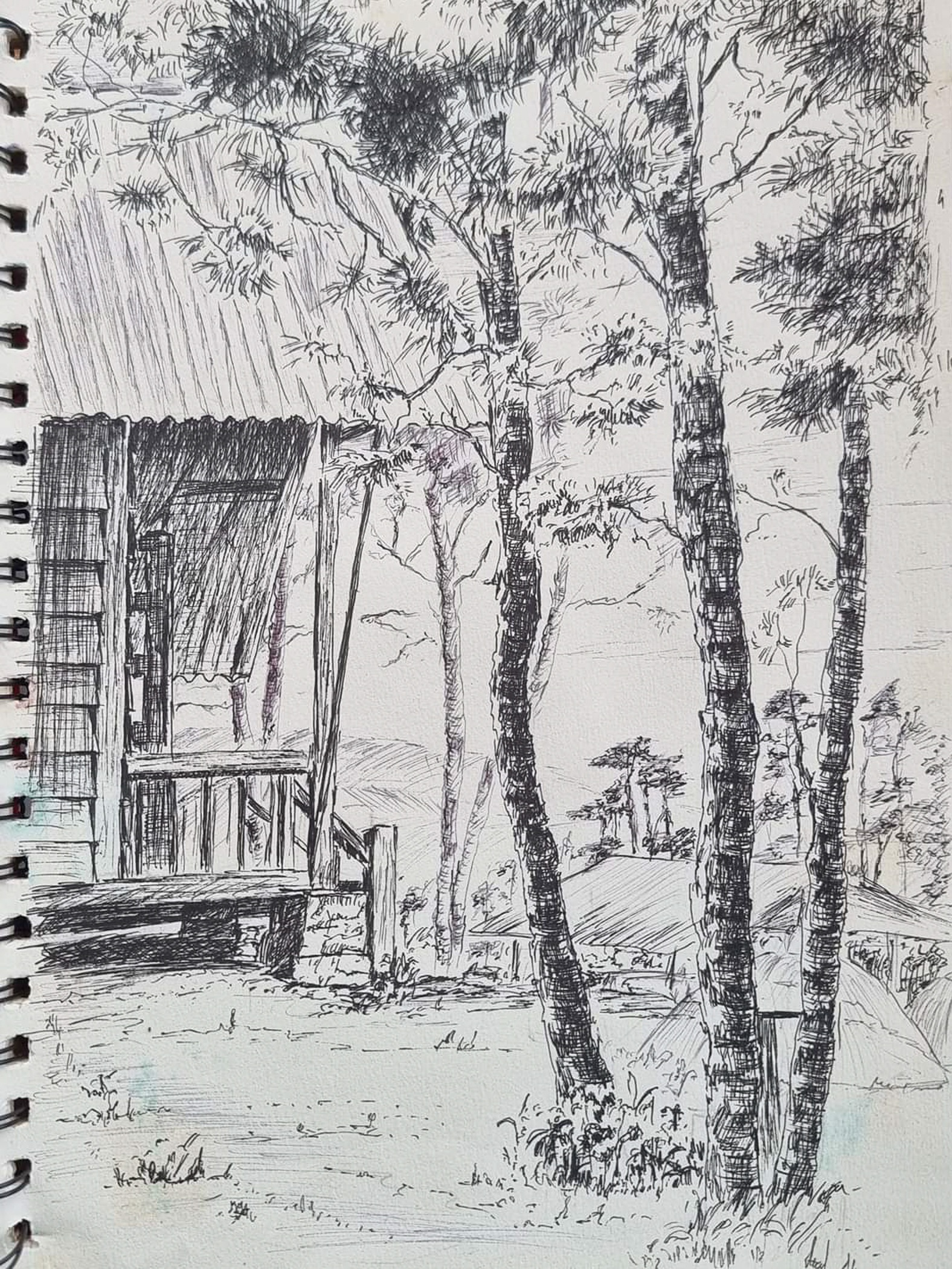 Vẽ tranh trekking ảnh 13 Ve tranh trekking anh 13