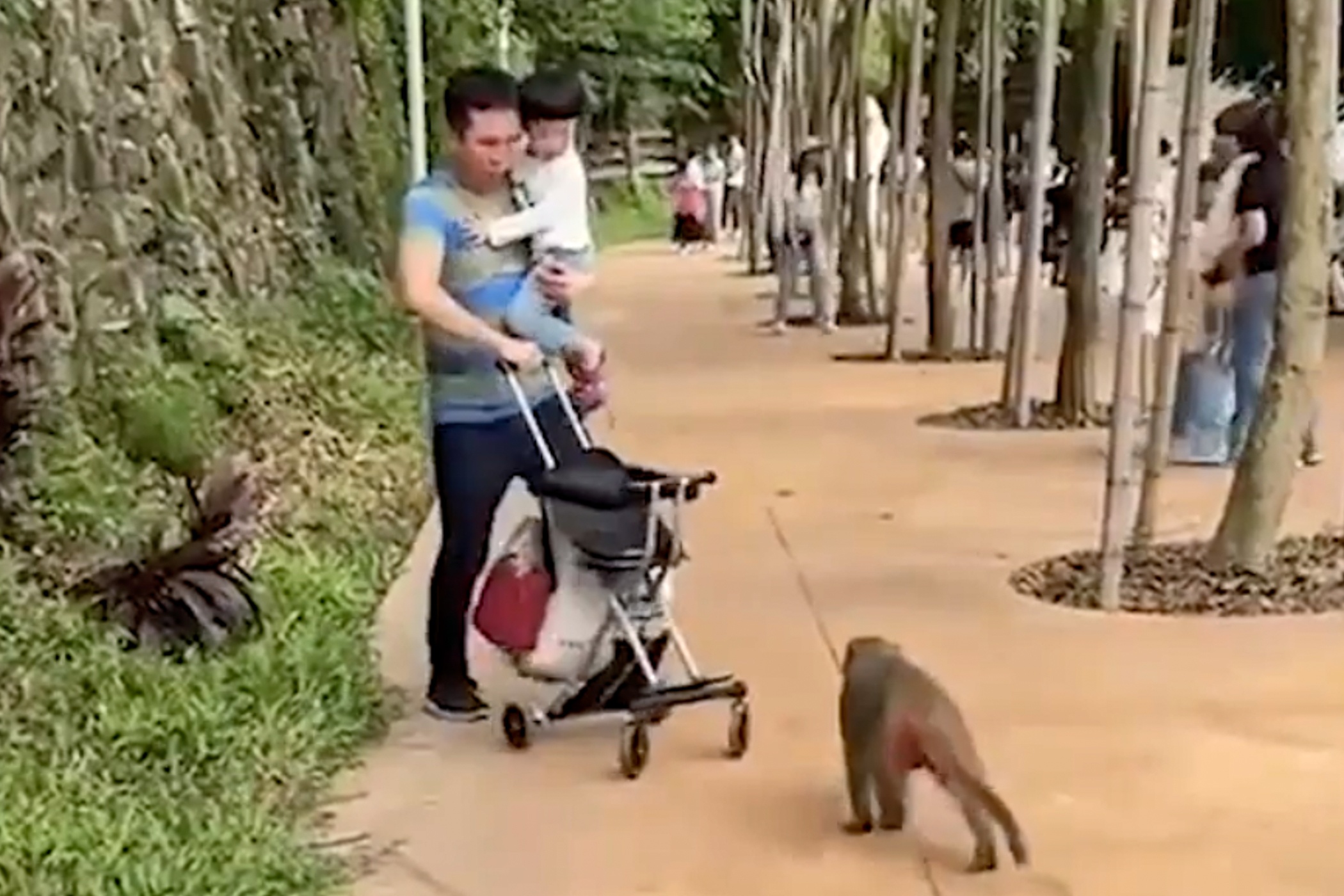 Khi danh du khach, cuop xe day o Dai Loan hinh anh