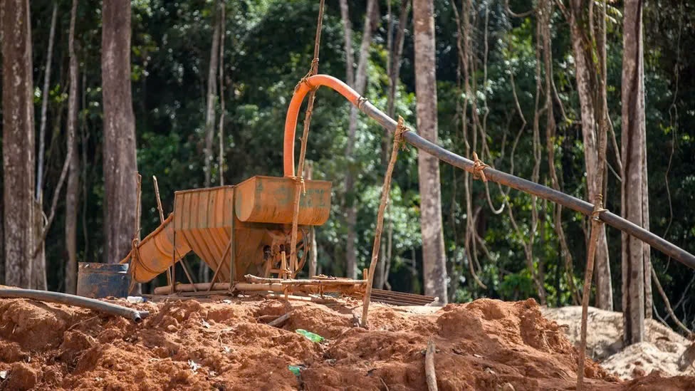 Bo toc Cinta-Larga anh 4