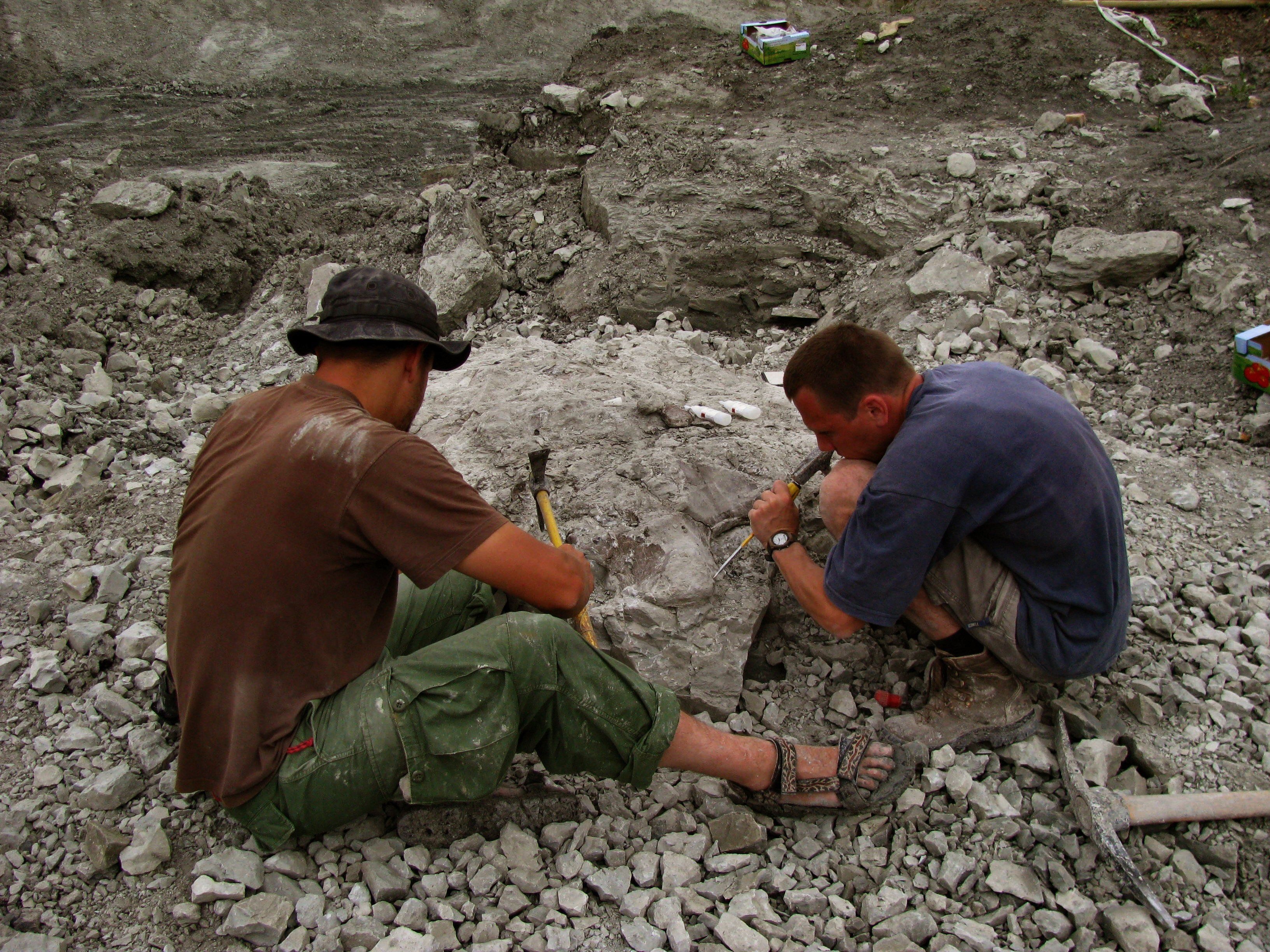 hoa thach khung long anh 1