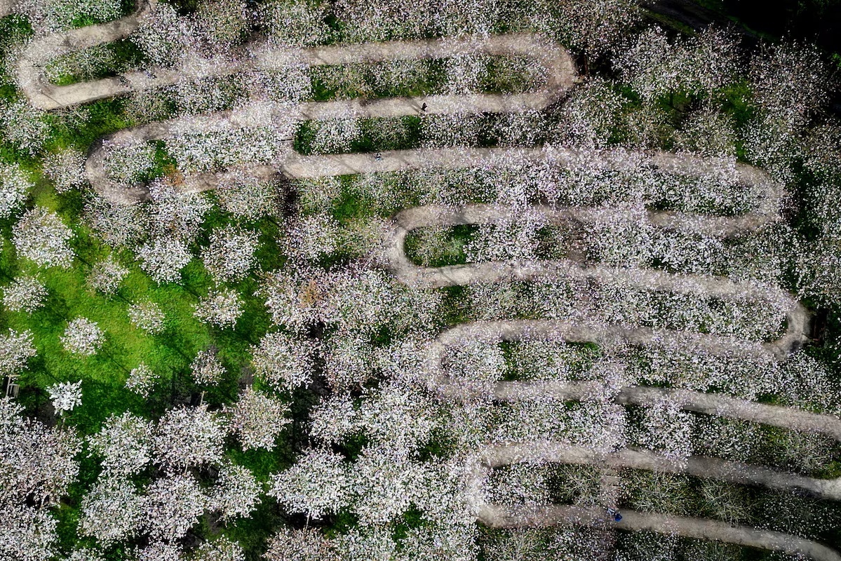 Anh tren khong anh 10